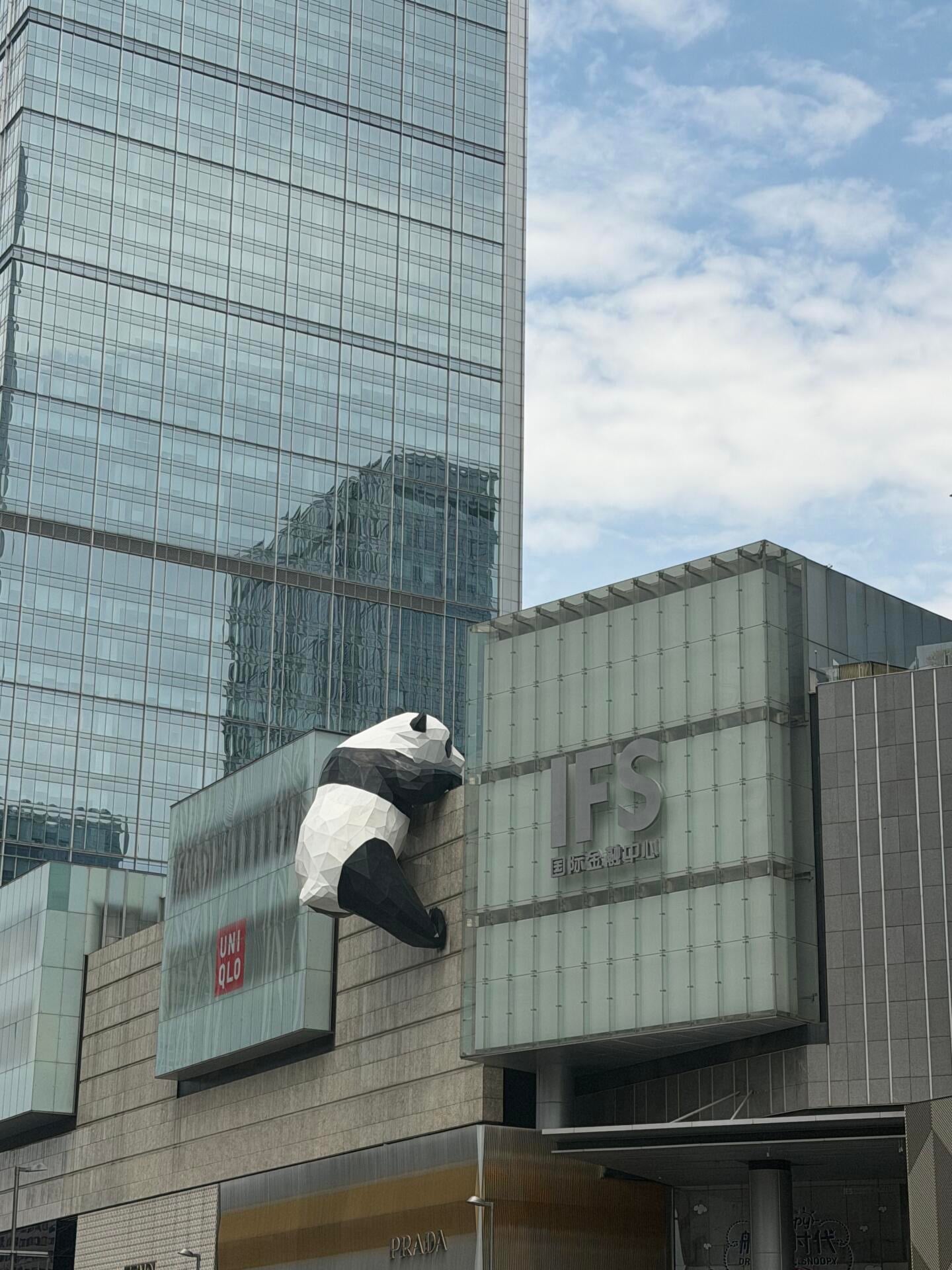今天在IFS墙边被一只熊猫偷袭了…它爬得比我还稳
