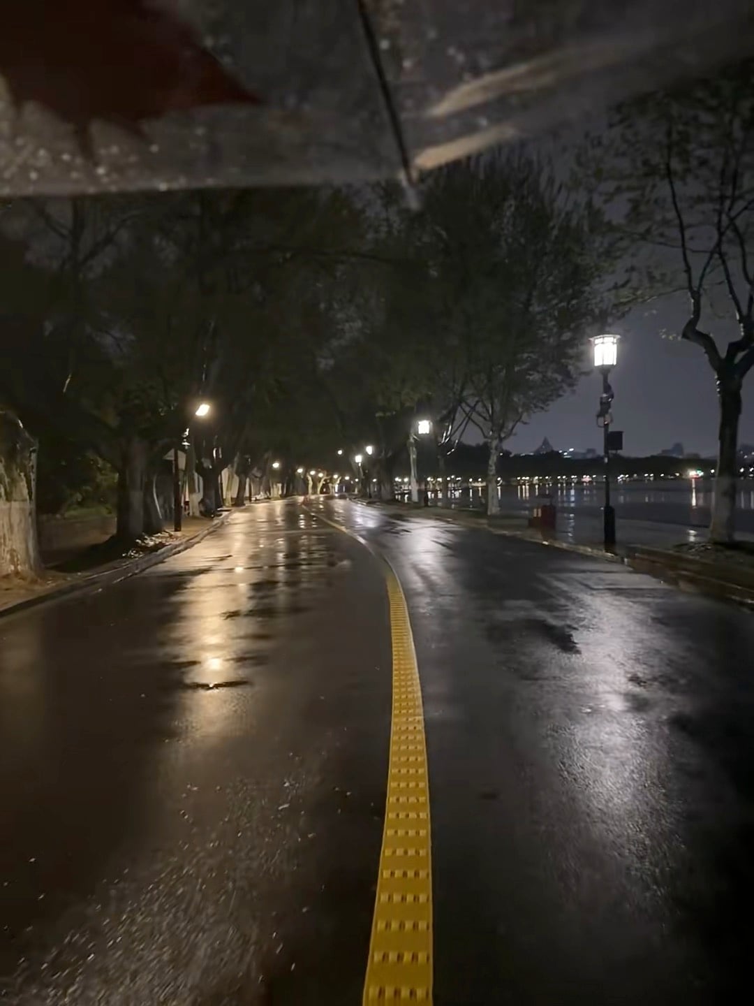 雨夜散步，路灯把路照成一条金线✨