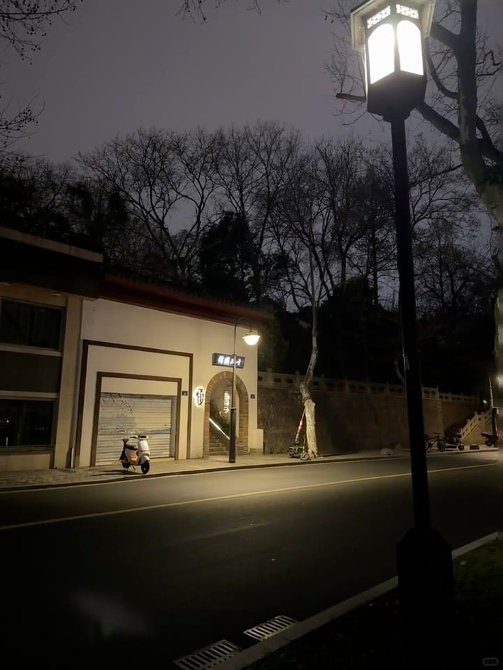 夜路拐角，路灯把树影拉得像老电影胶片