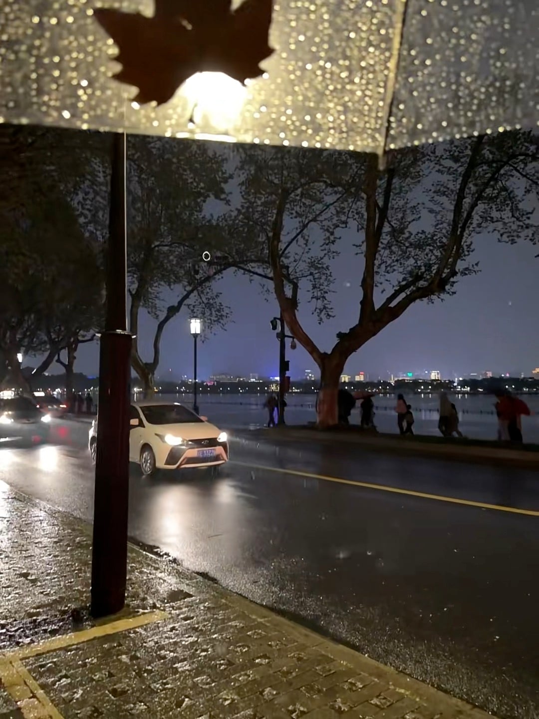 雨夜路灯下，车灯扫过湿漉漉的湖边路｜杭州？不，是西湖边的夜