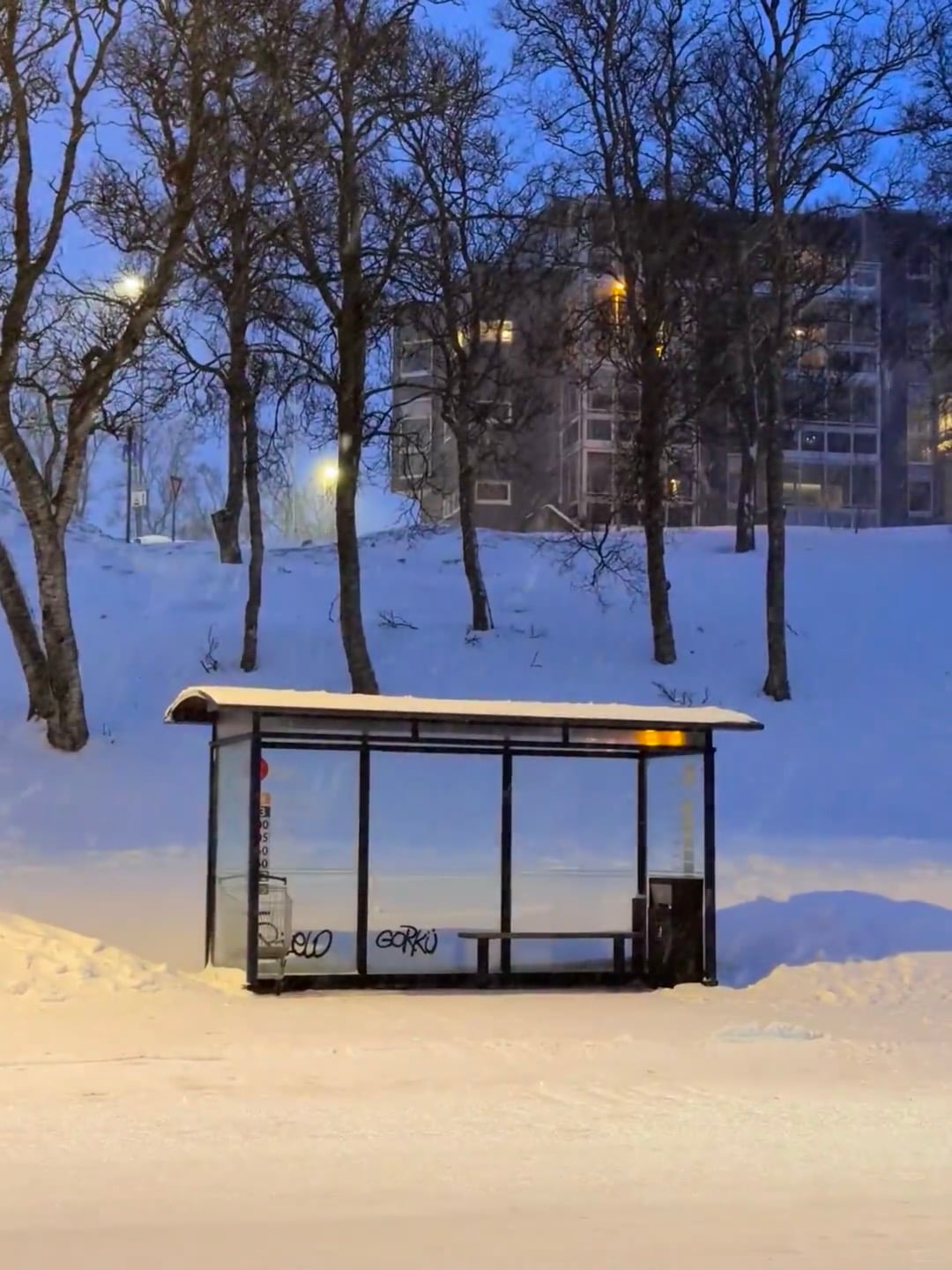 雪夜公交站台，像被世界按了静音键