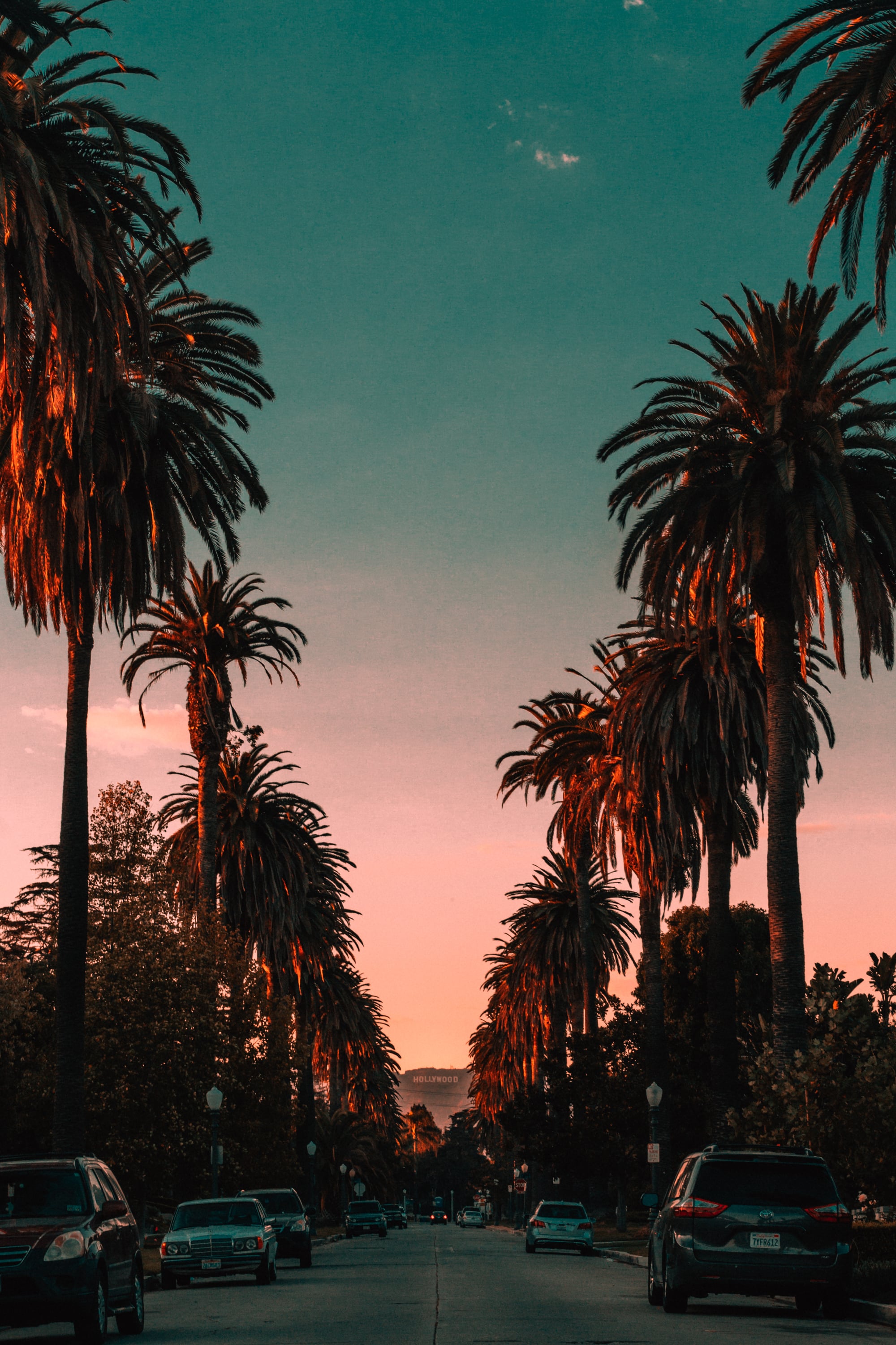 日落时分的Hollywood大道，棕榈树在橙光里站成诗