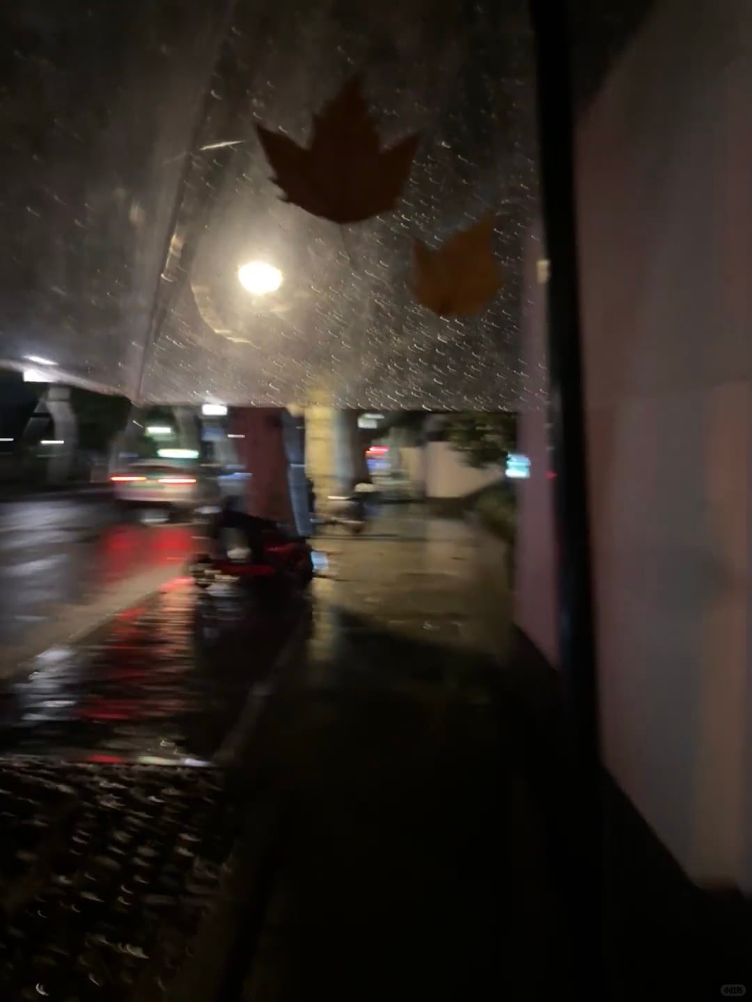 雨夜窗景｜路灯把落叶照成琥珀色