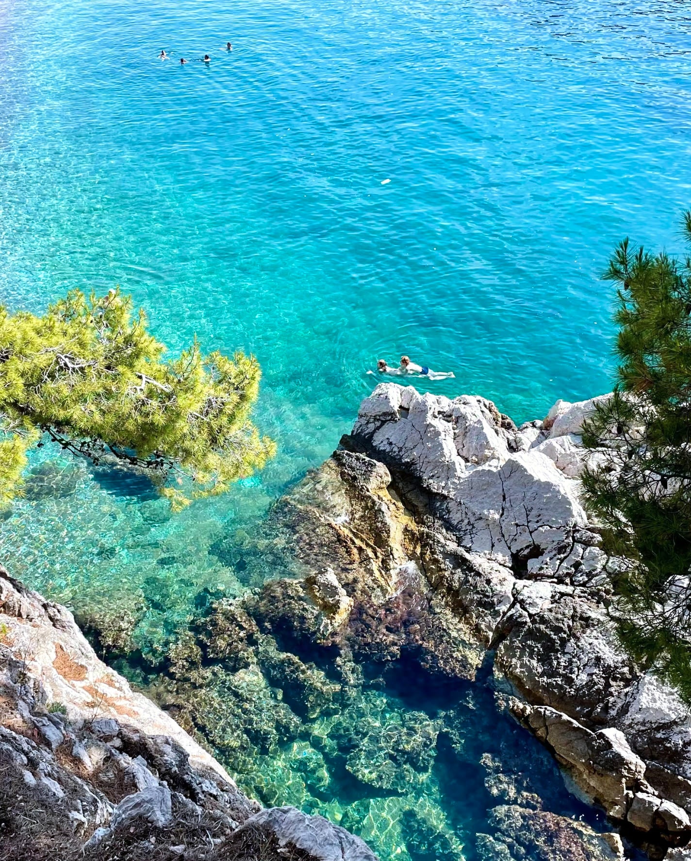 今天在悬崖边跳进海里，水清得能看见自己浮潜的影子～