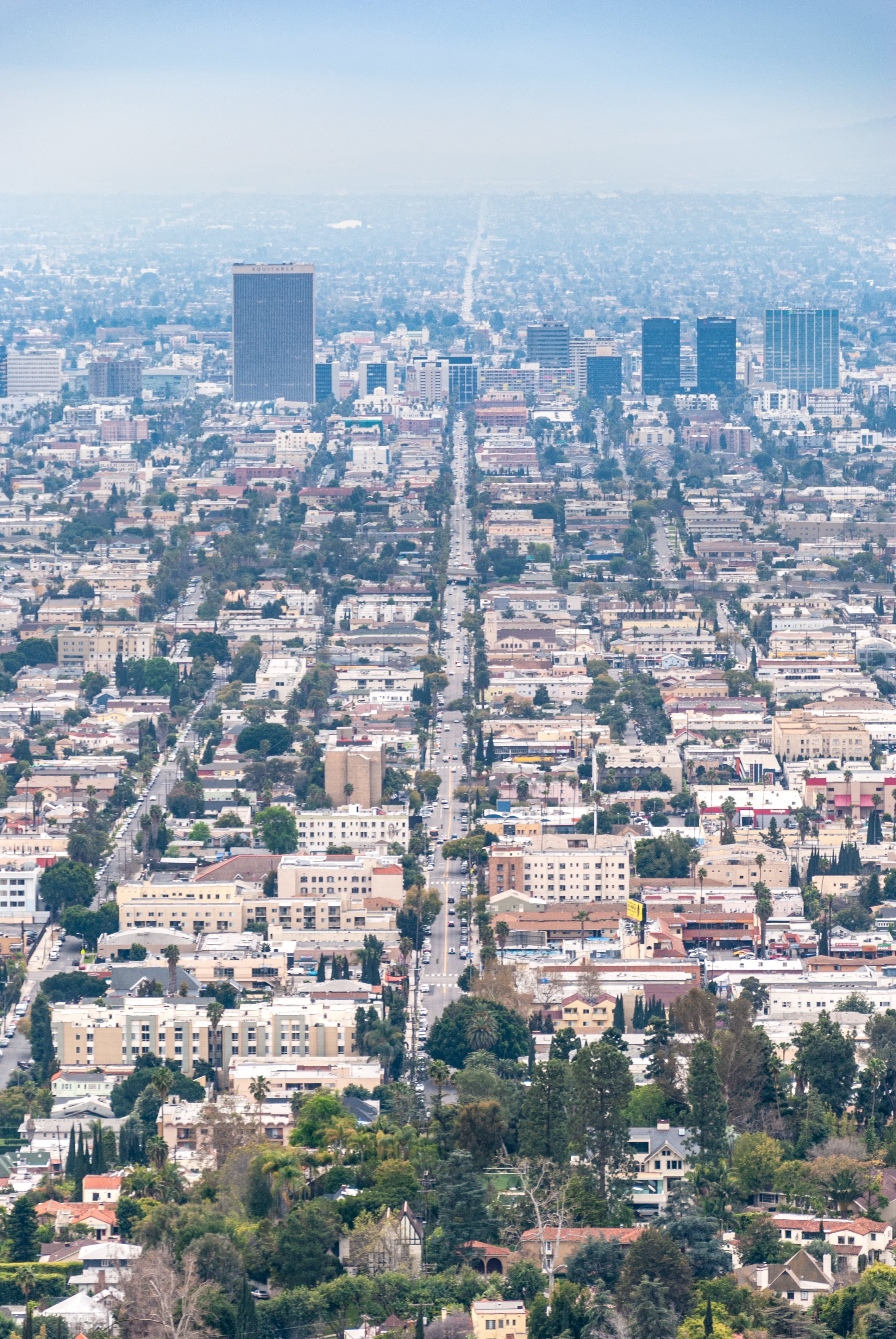 今天在Wilshire Blvd上，被这排梧桐树和远处的Equitable Tower戳中了——老派洛杉矶的呼吸感