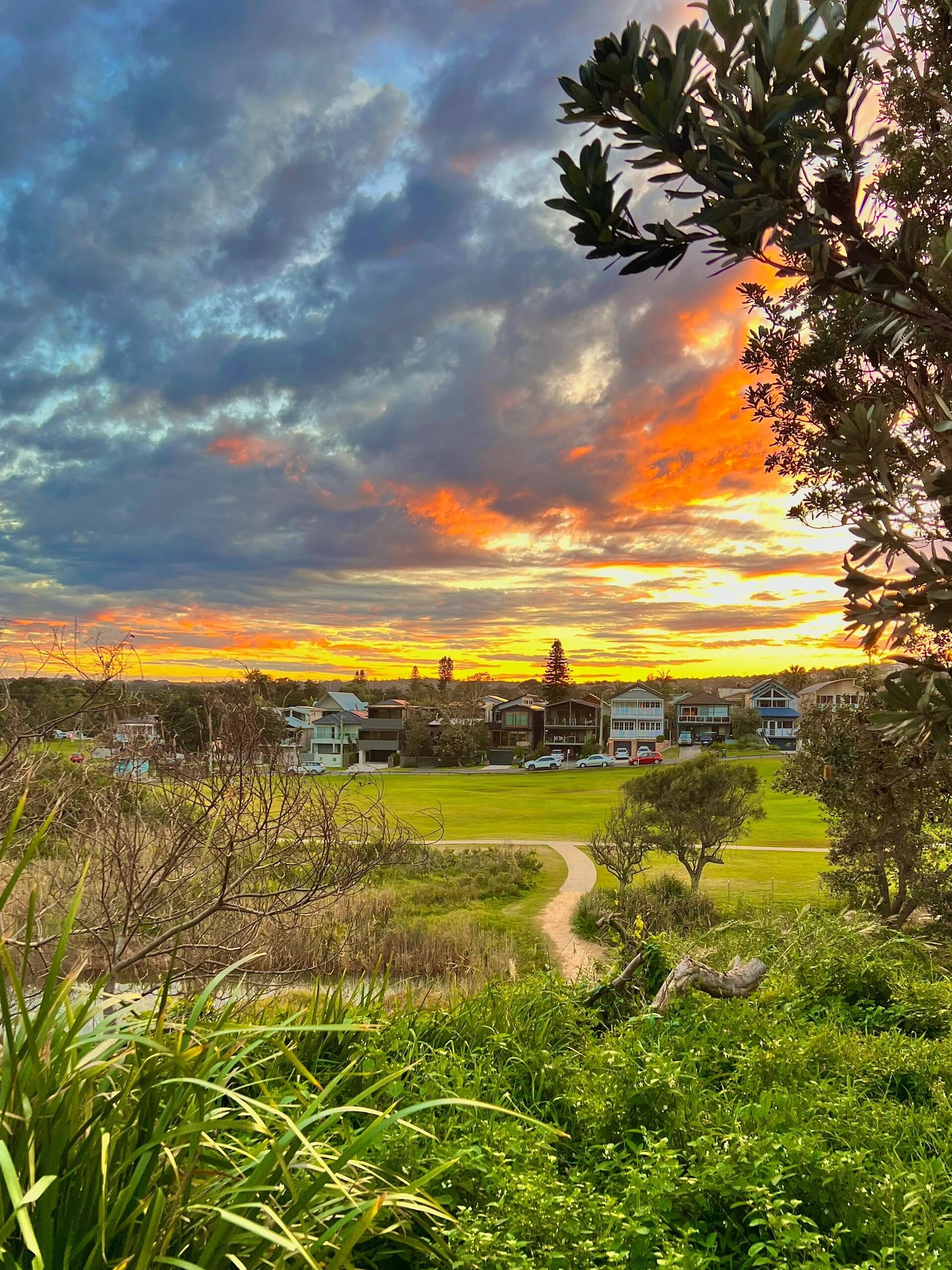 夕阳把云朵烤成了焦糖色，路过这片草坪时刚好停住脚步