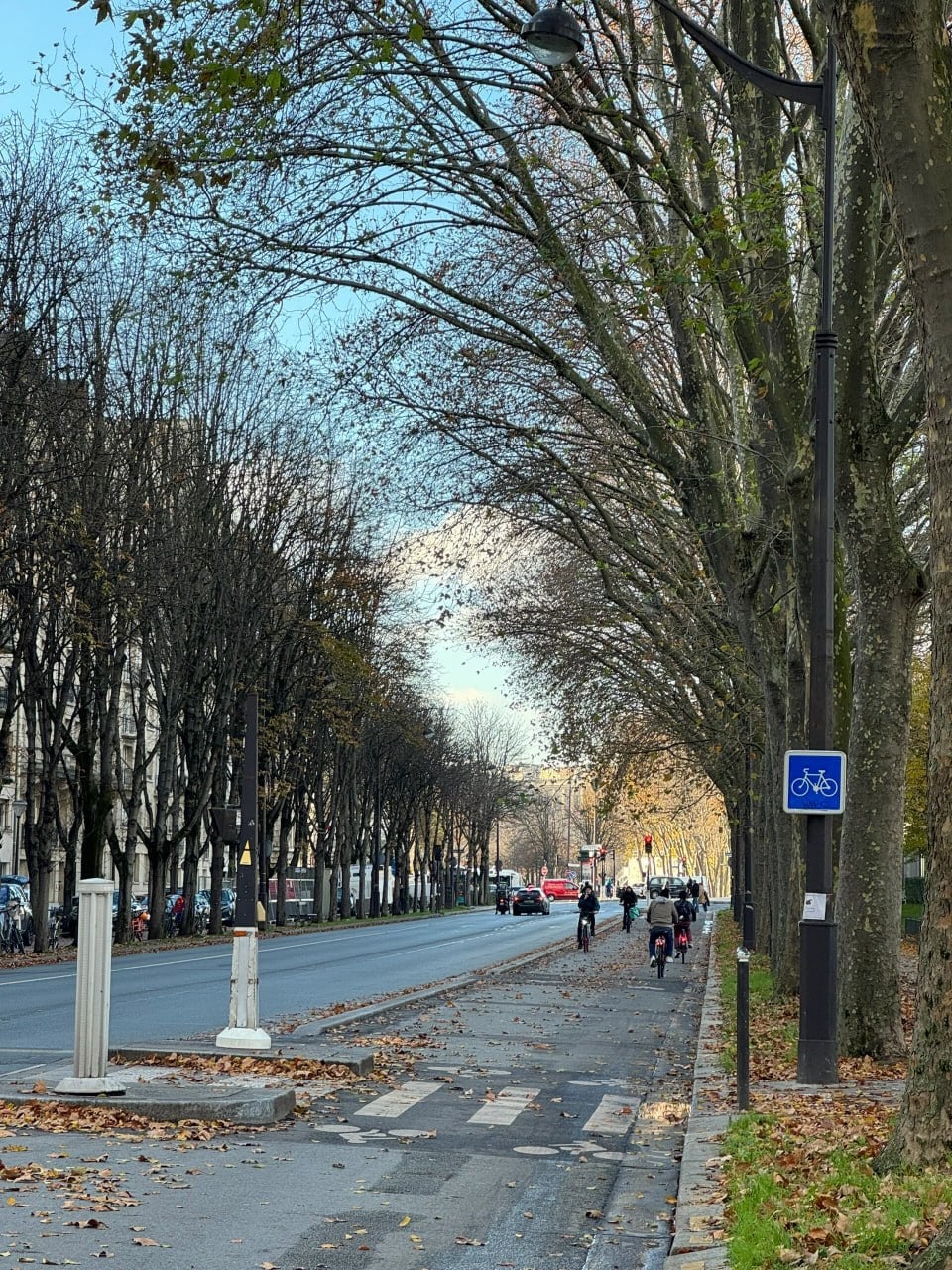 秋日骑行通道，落叶铺满的通勤路 🍂🚲