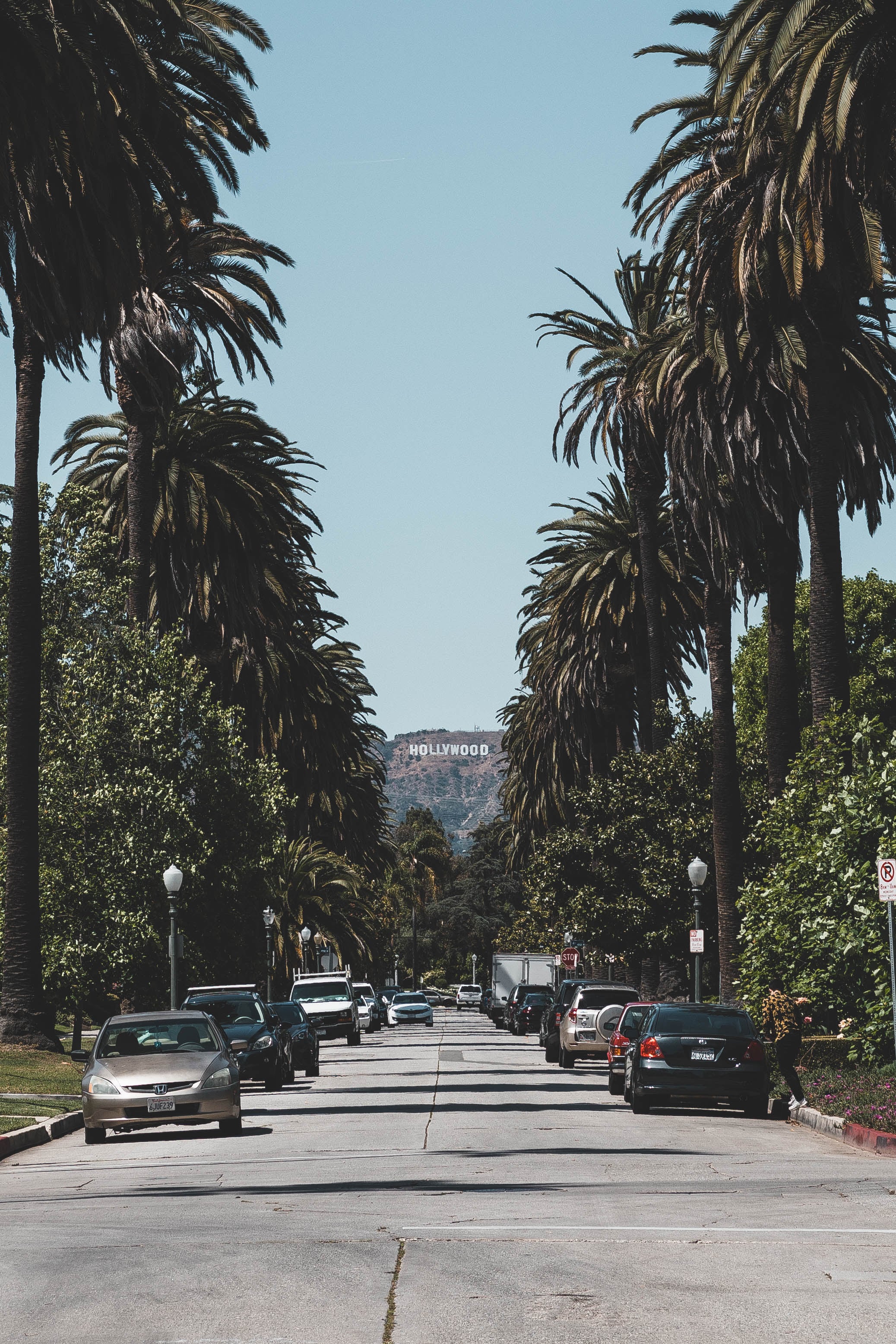 路过Hollywood山脚，车流里突然被这排棕榈树戳中了——阳光、旧车、还有远处那几个字母，像老电影片头