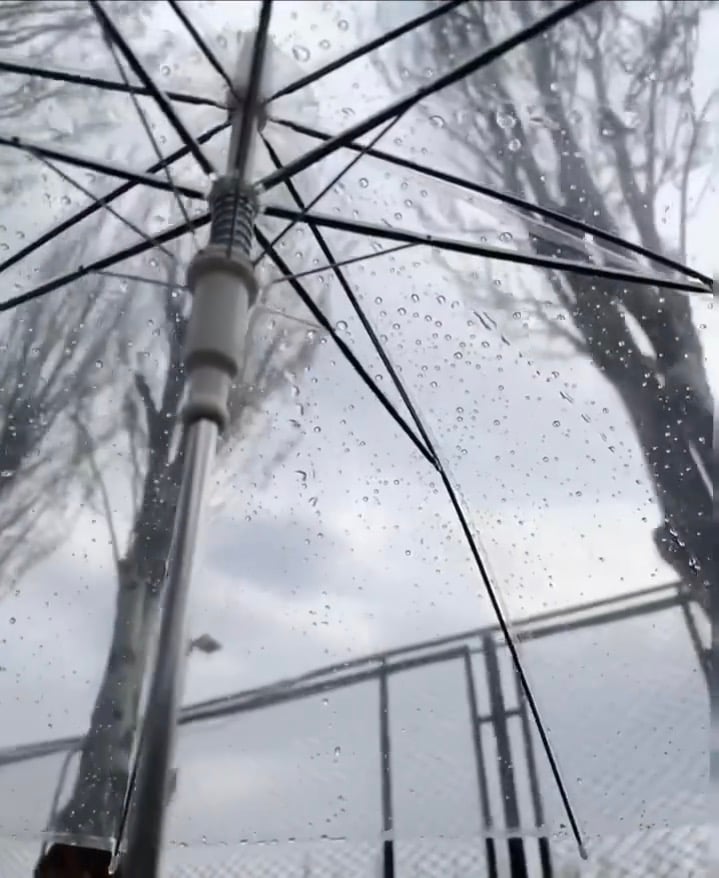 雨天撑伞出门，伞面像被撒了一把糖霜…今天在Central Park西边小径晃悠