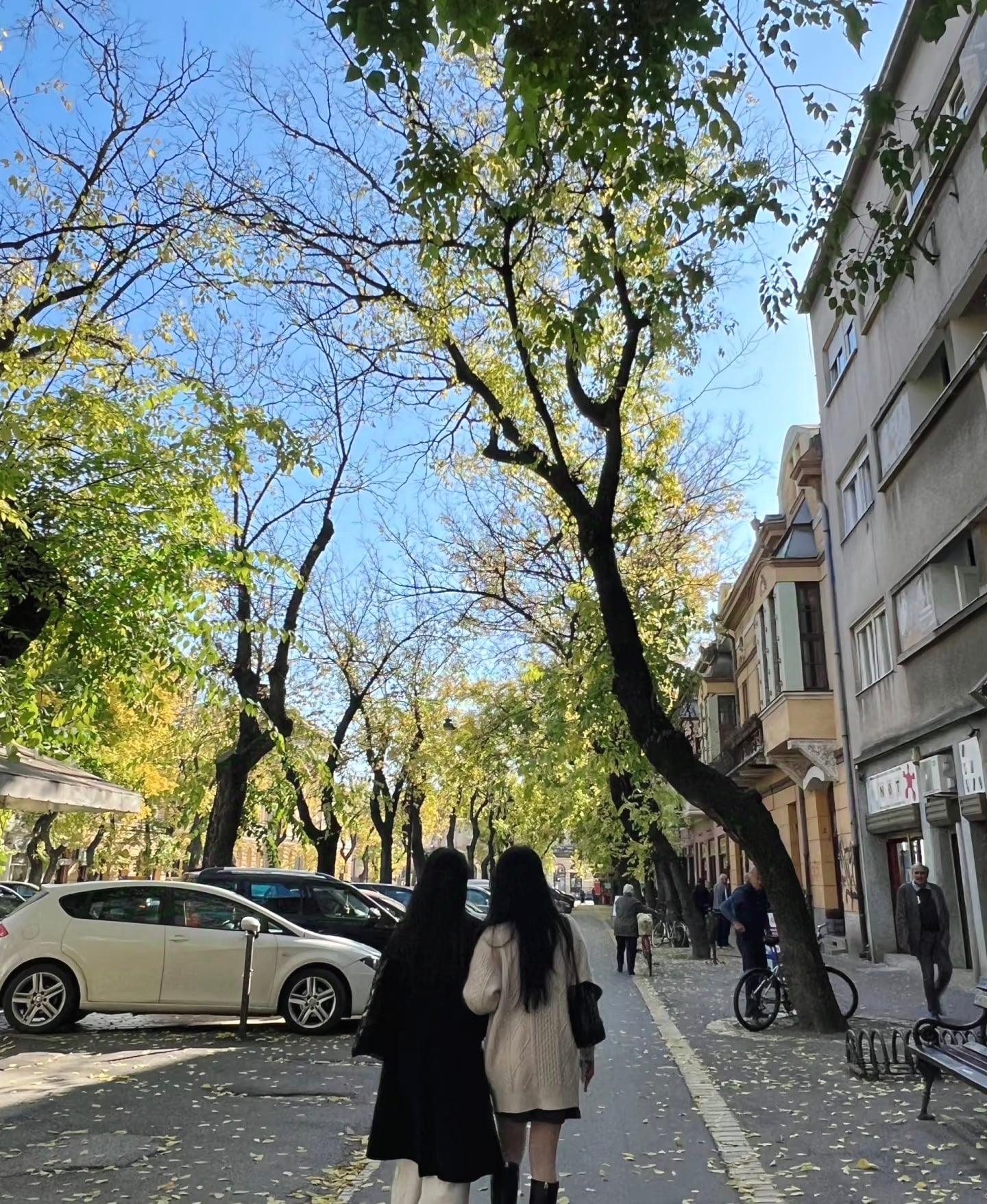 秋日街角，两个影子并肩走着