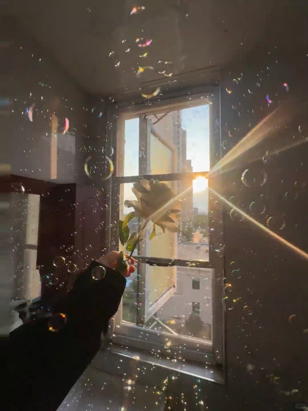 下午四点的窗边，阳光和泡泡一起偷溜进房间✨