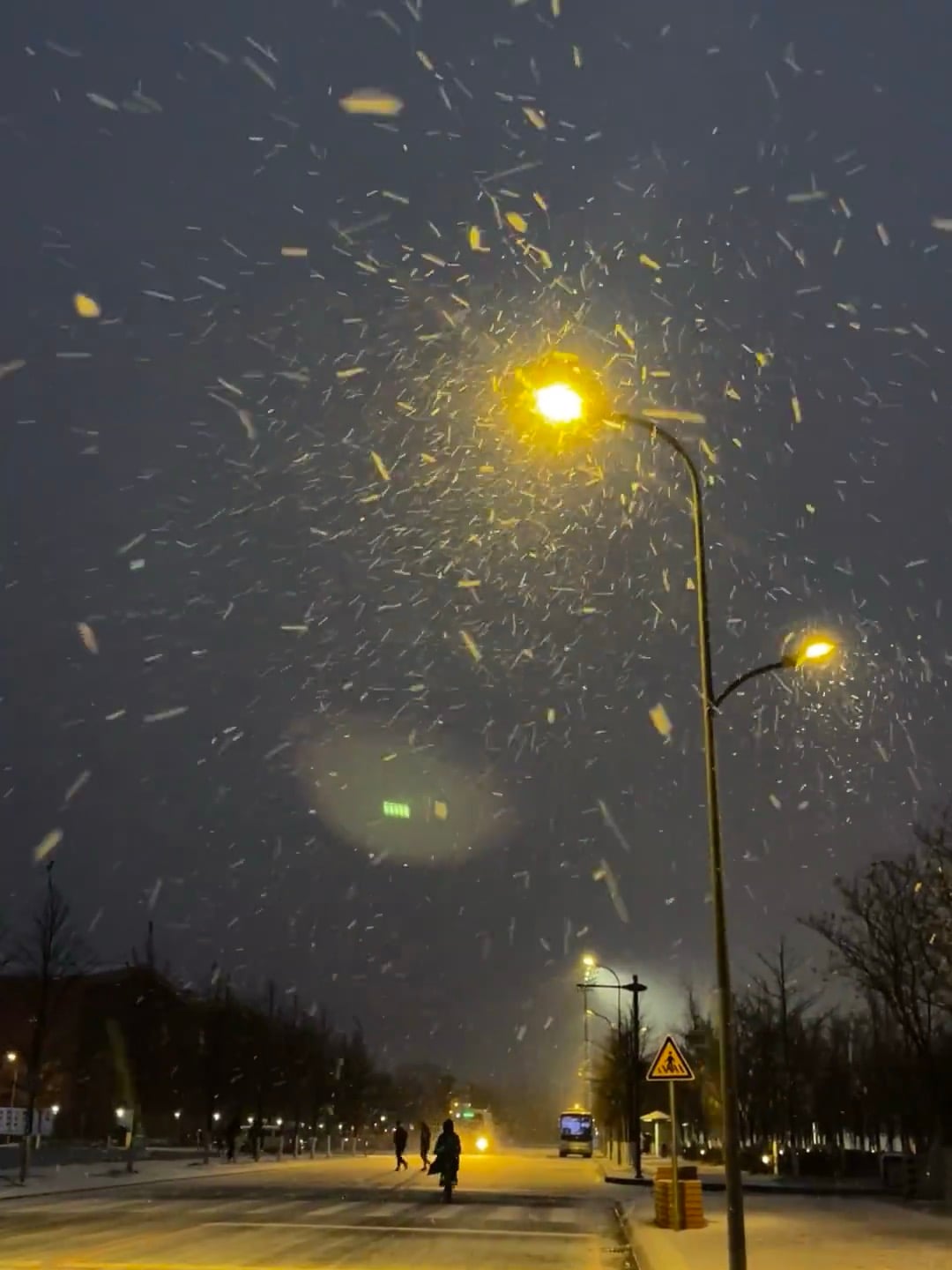 路灯下撒盐的雪，像不小心打翻了银河碎片✨