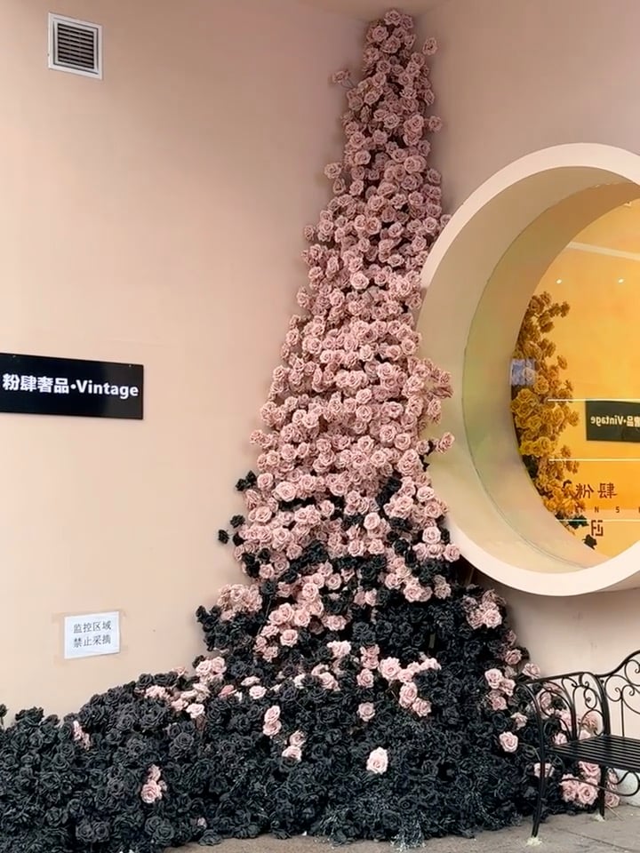 路过这家店门口，花瀑布直接砸我脸上…粉黑撞色太敢了！