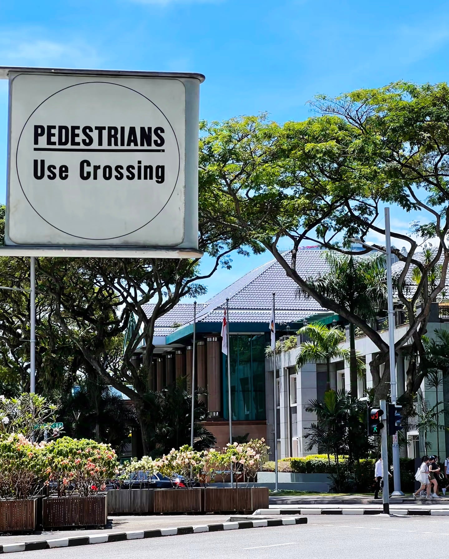 今天在樟宜路拐角，被这个复古指示牌戳中了——'PEDESTRIANS Use Crossing'，像极了老电影里的街头
