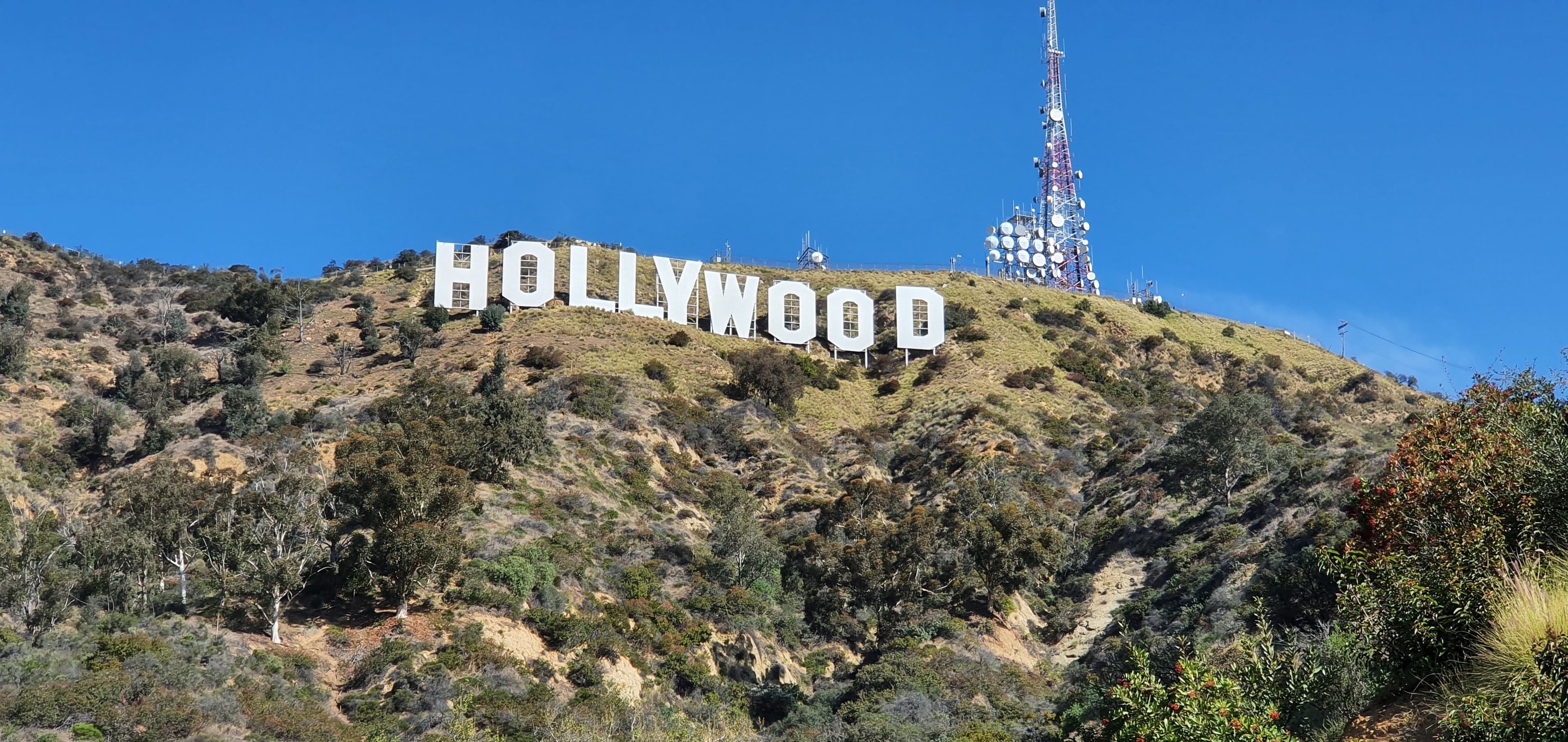 今天在Hollywood山头晃荡，风大到字母都快被吹歪了…