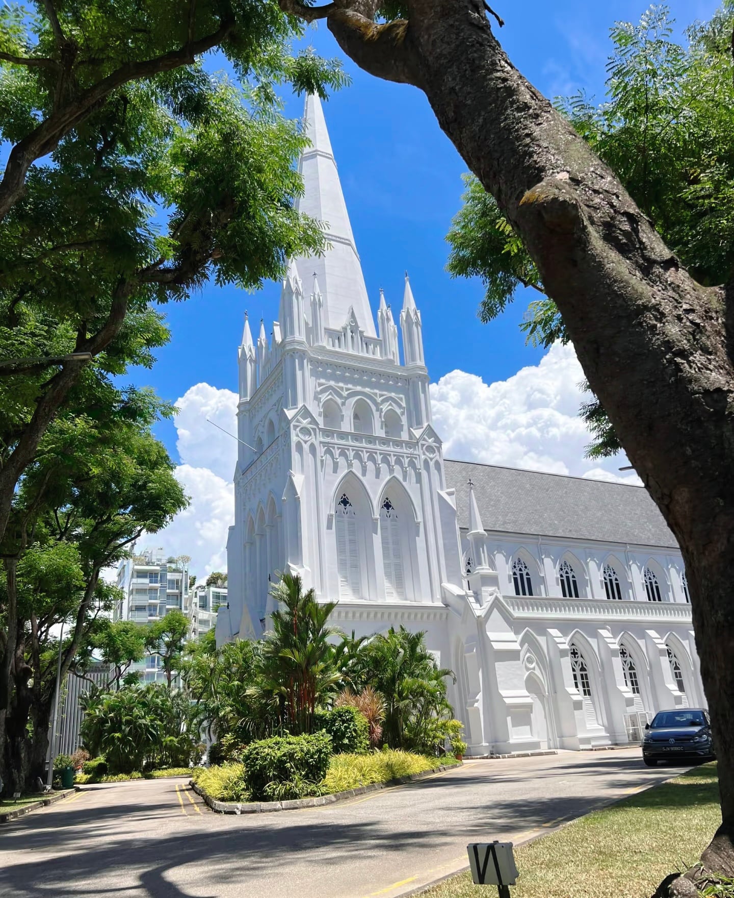 路过圣安德烈教堂时被这白得晃眼的尖顶戳中了——今天在新加坡街头，连树影都自带滤镜