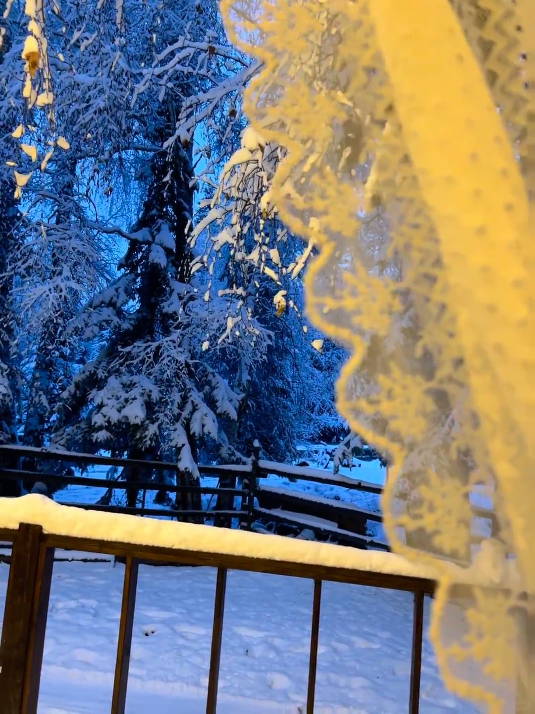 窗边雪景｜今早推开门，整个世界都安静了