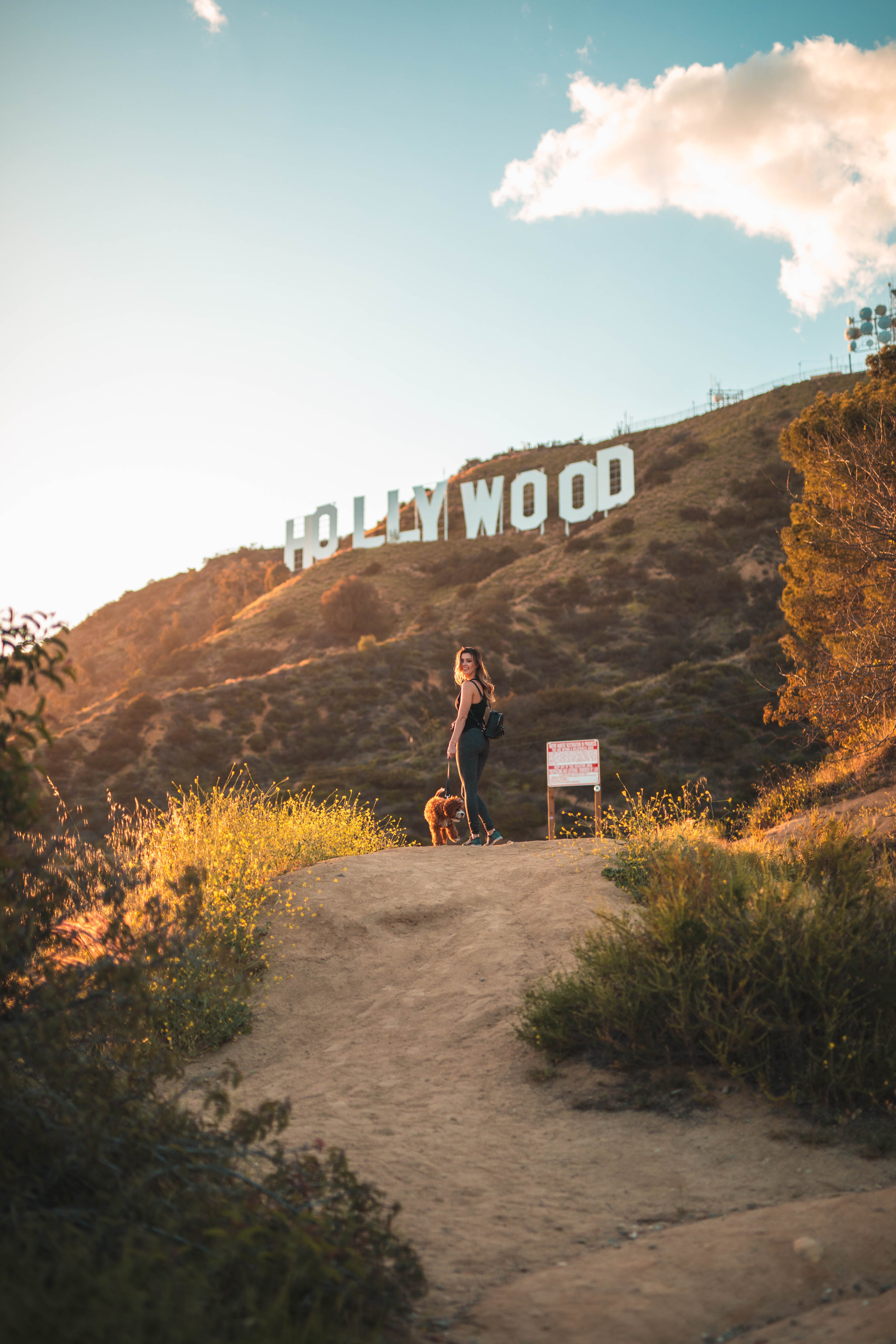 夕阳下的Hollywood山丘，遛狗+回眸=今日最佳帧