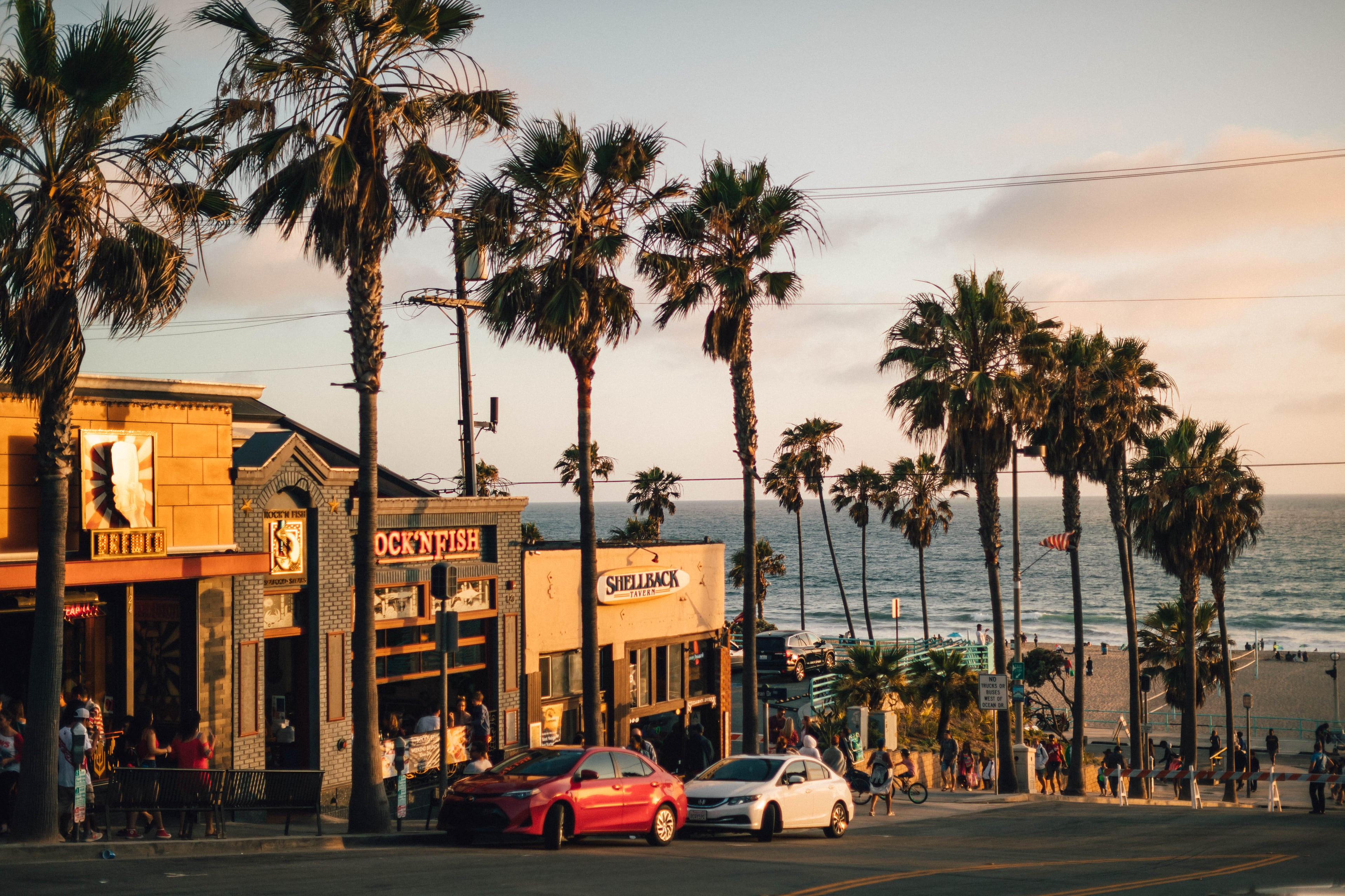 傍晚街角，棕榈影子拉得老长｜Redondo Beach的慢生活