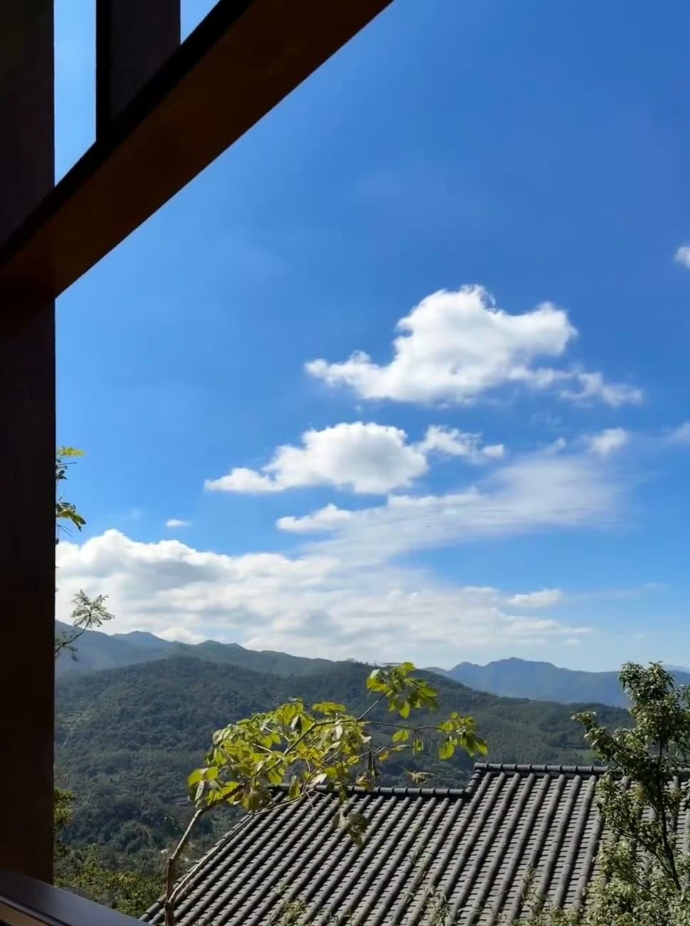 被窗外那朵云勾住看了十分钟