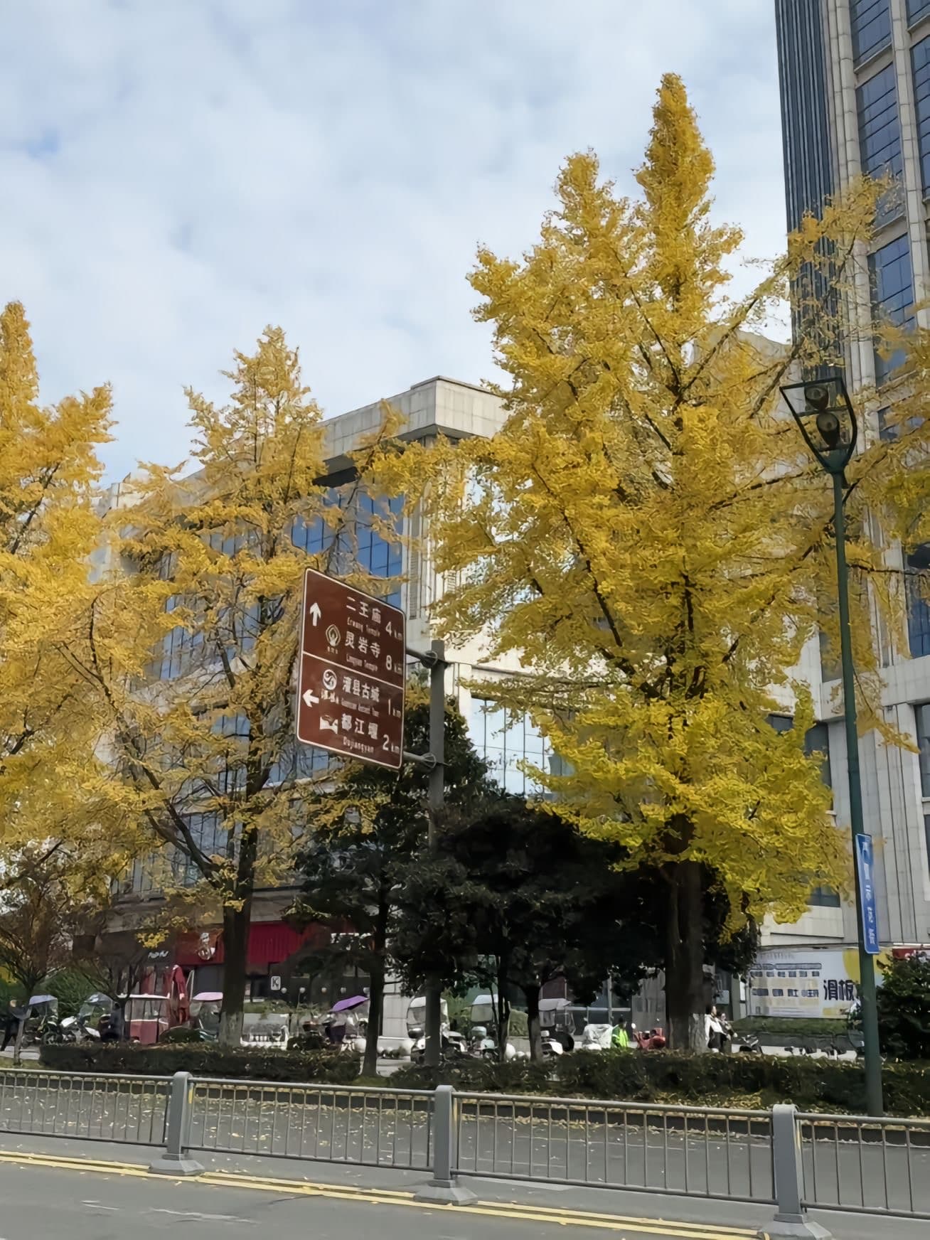 路过二王庙路口,银杏黄得像打翻的阳光|秋天是城市给的温柔暴击封面图