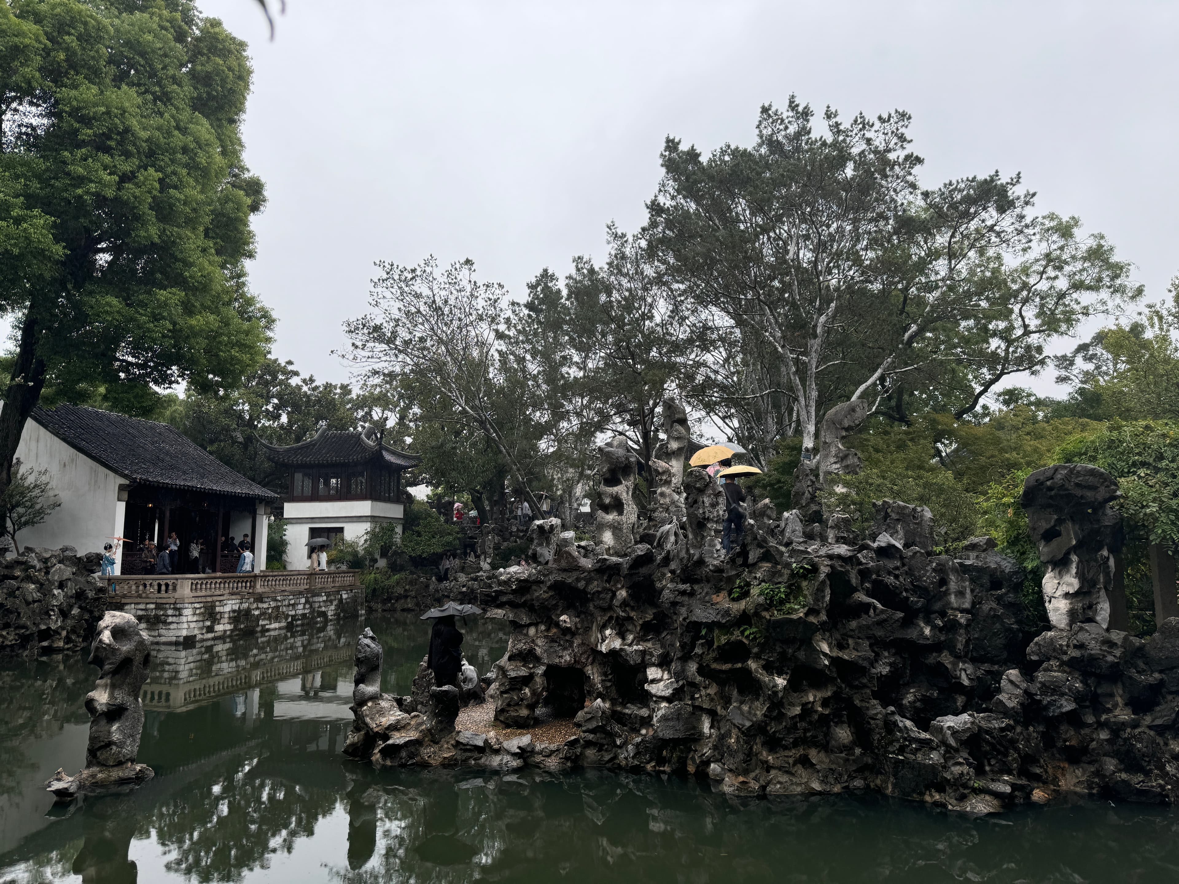 雨天逛拙政园,伞下撑起江南的诗意|白墙黛瓦+太湖石=中式浪漫天花板封面图
