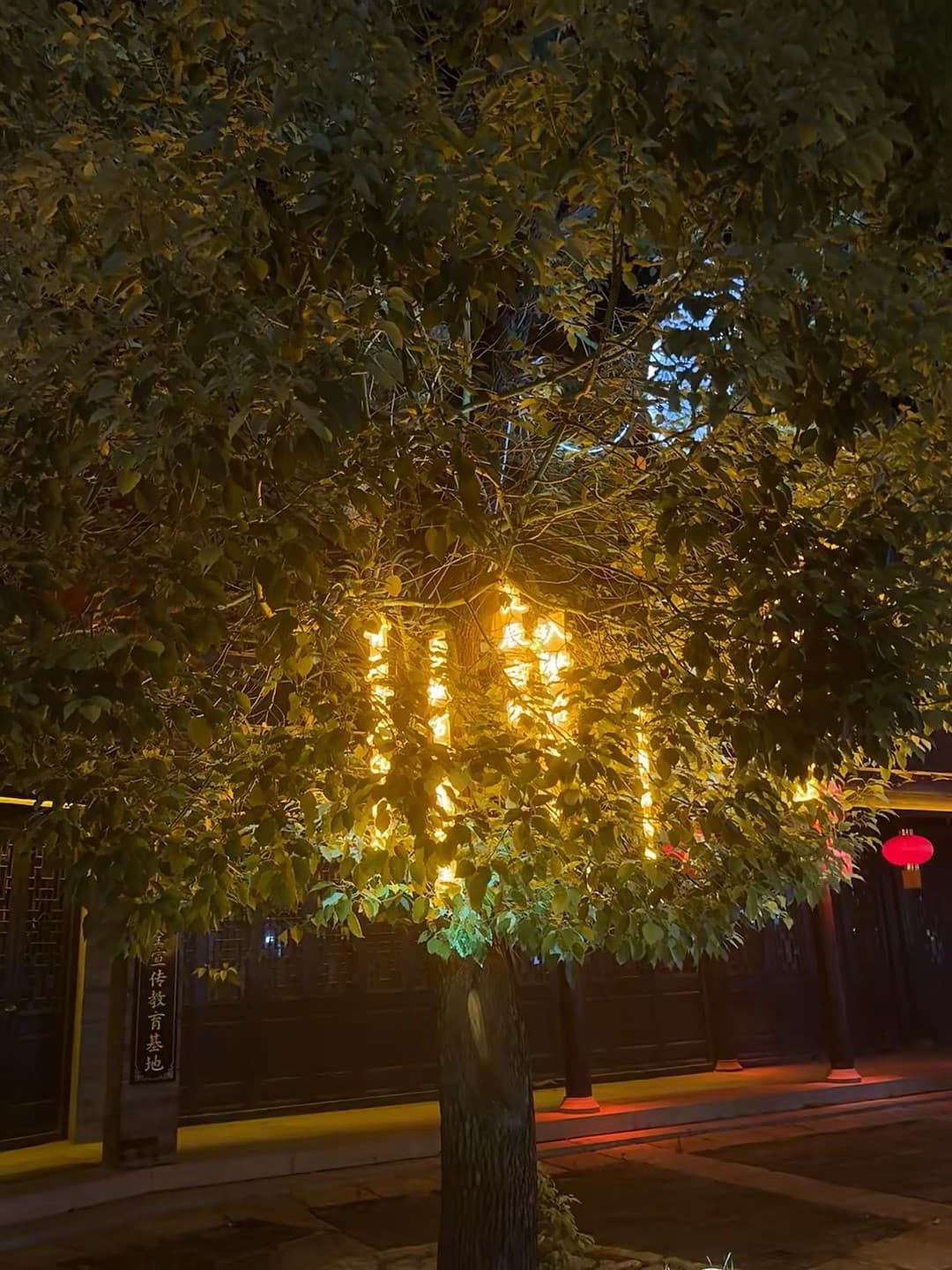 夜巡小巷,树影里藏着暖黄的光封面图