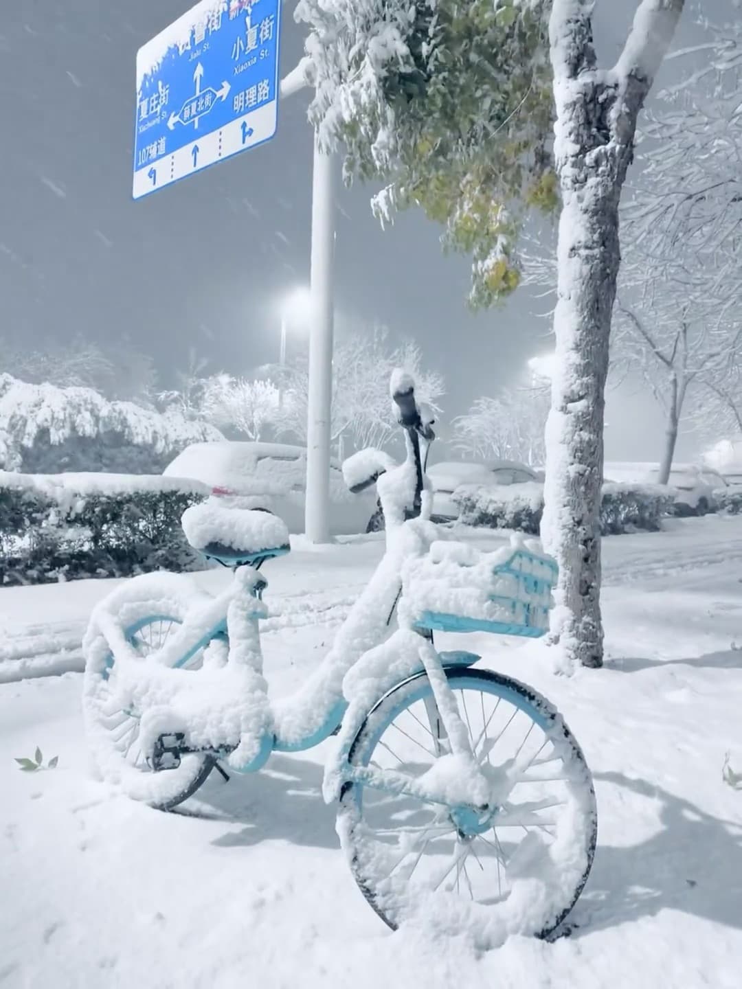 雪天路过的共享单车,像被时间冻住的蓝色梦封面图