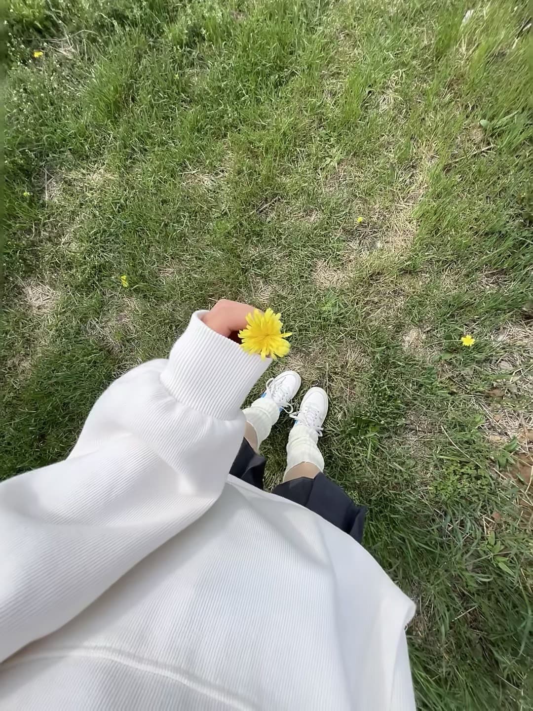草地突然递来一朵蒲公英,像被世界轻轻捏了捏手心封面图