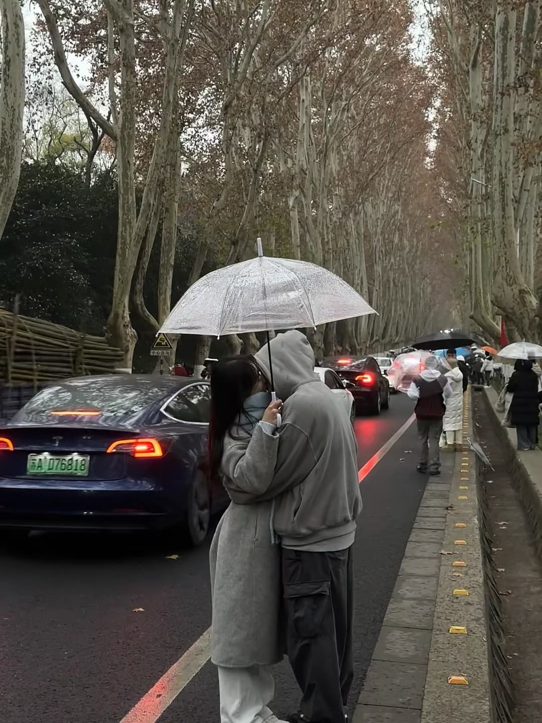 雨天路透|路过梧桐大道,突然被这对小情侣甜到打滑~封面图