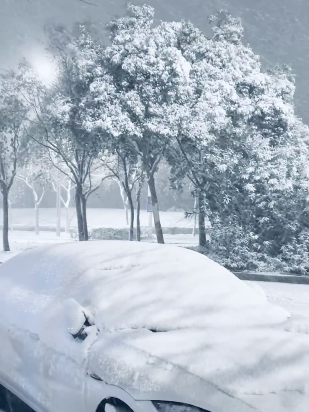 雪天车被埋,像开盲盒拆出一辆雪橇版Model 3封面图