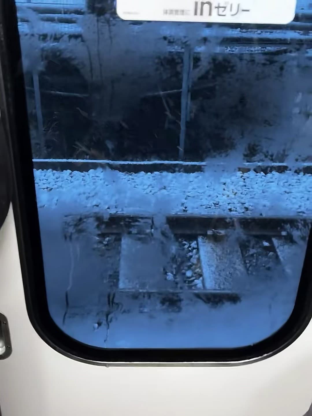 通勤路上的雪景盲盒|电车窗上结霜的瞬间,像被冻住的童话封面图