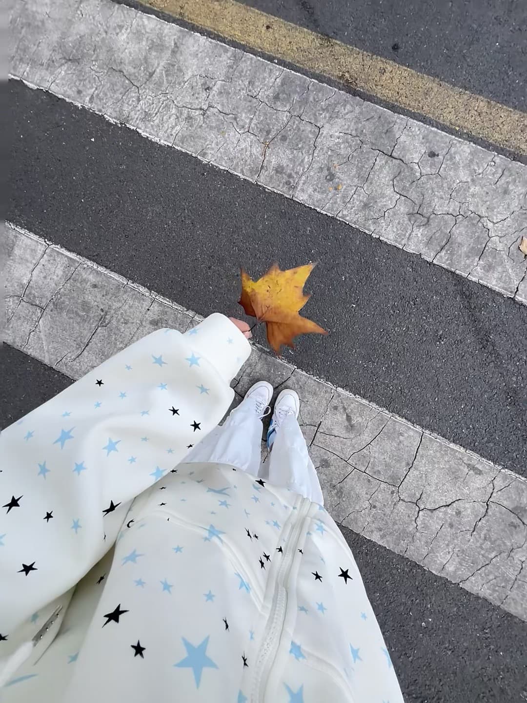 秋天的落叶和星点卫衣,今天在斑马线边捡到一片金黄封面图