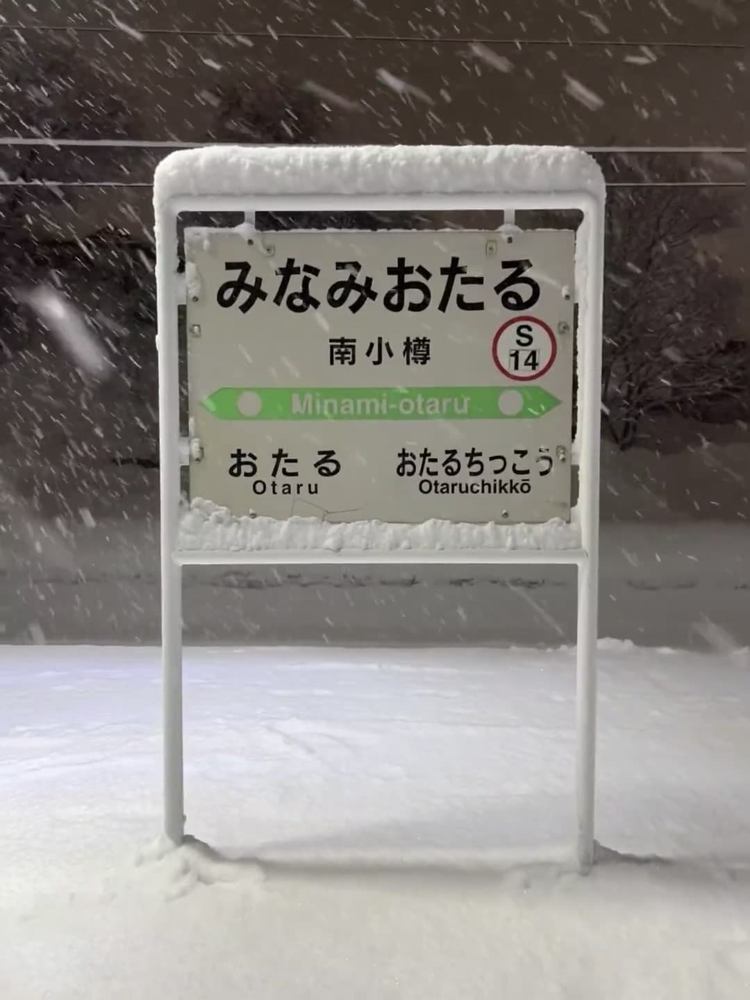 雪天路标被雪盖住一半,像在玩猜谜游戏❄️封面图