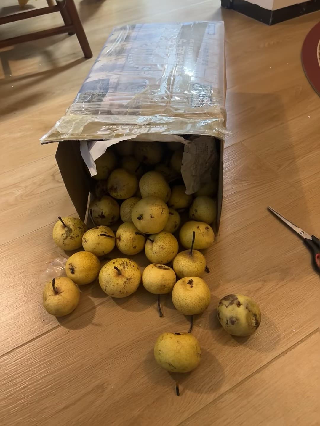 纸箱漏了?不是梨,是‘小黄蛋’!今天在公寓楼道捡到一箱意外惊喜封面图