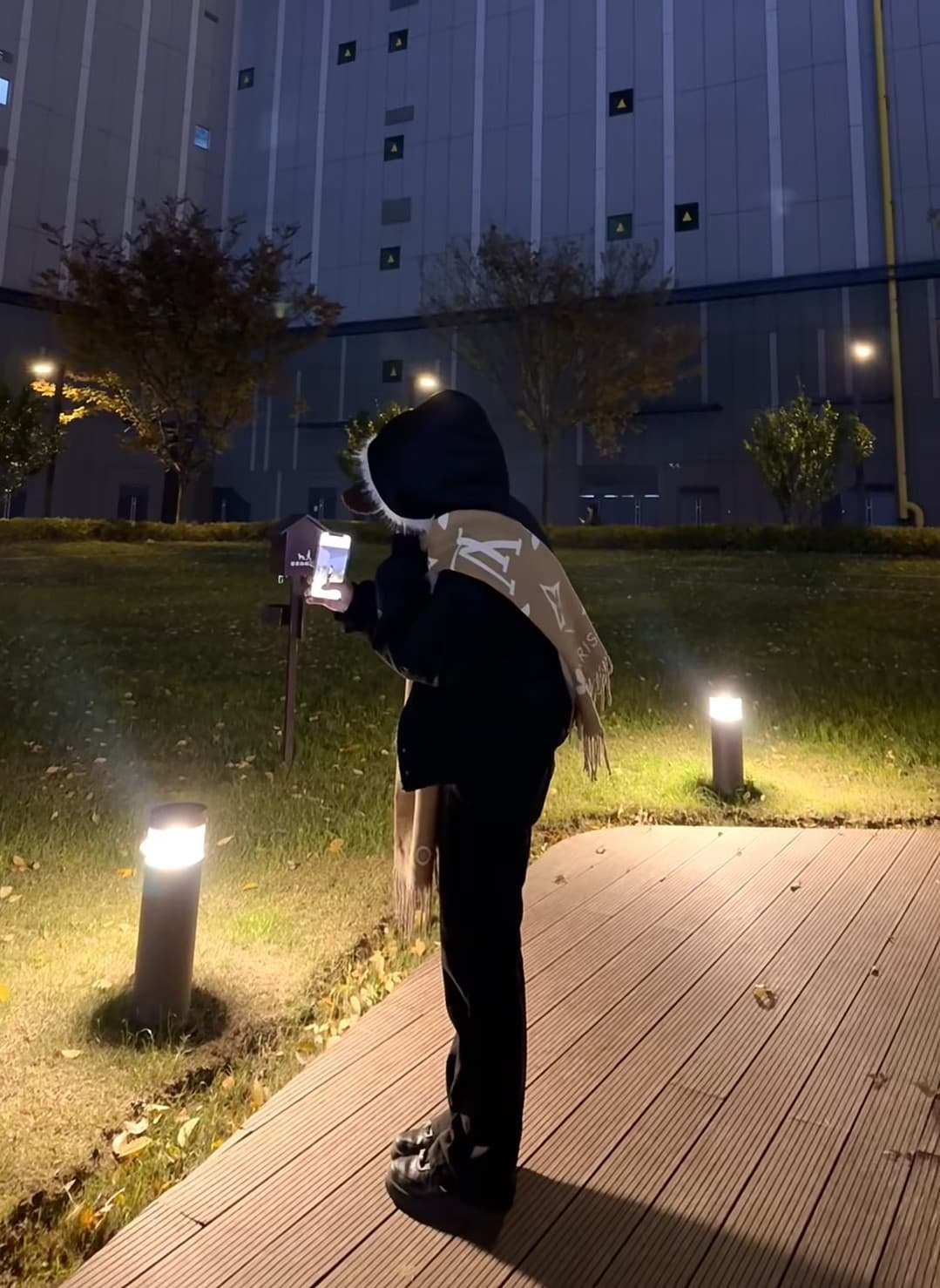 夜巡草坪时发现一只‘路灯小熊’,它居然在拍我?封面图