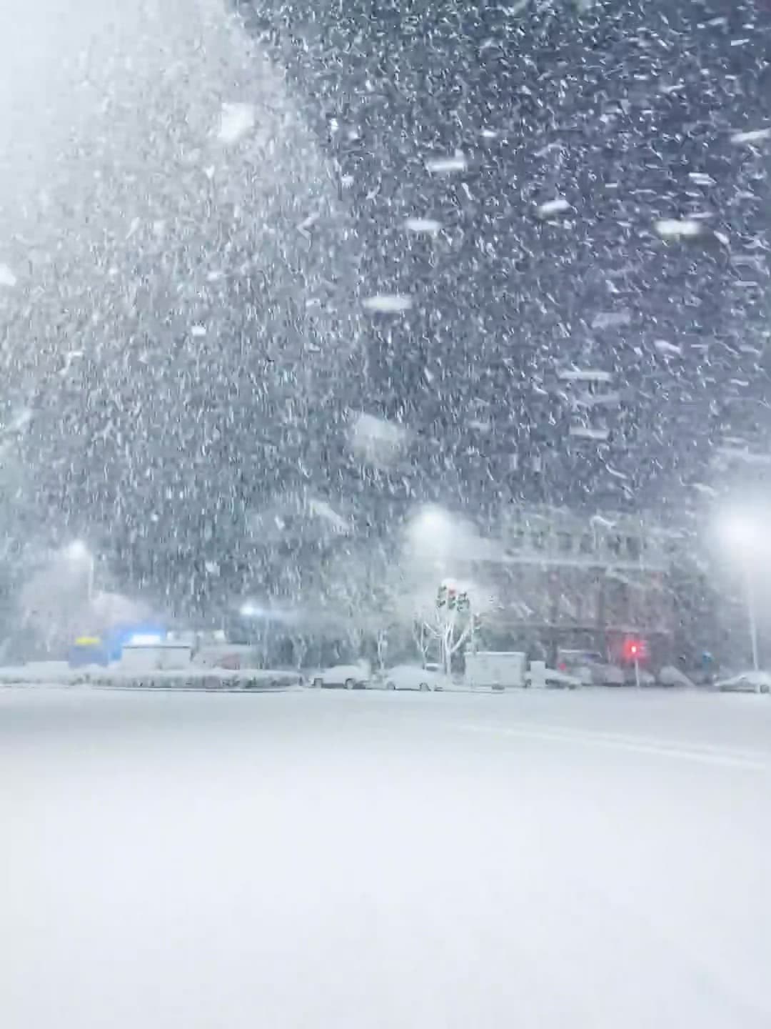 雪天通勤实录:车窗上全是‘雪花暴风雪’,今天在Junction Rd.被冻成冰雕封面图