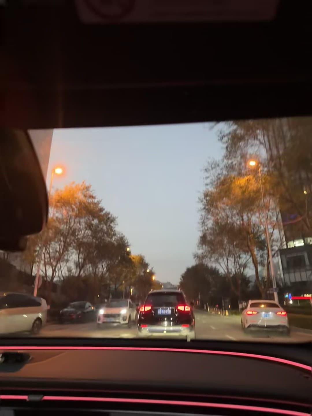 傍晚通勤路上的光,像被城市轻轻拥抱封面图