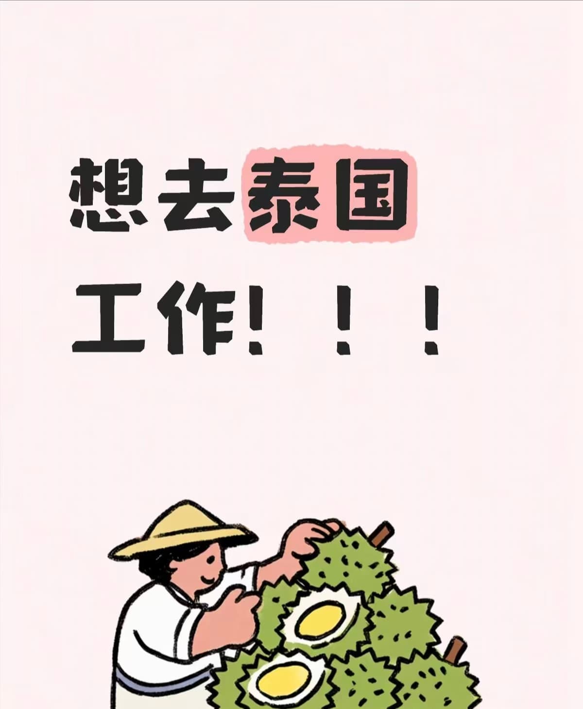 想在曼谷种榴莲顺便打工?封面图