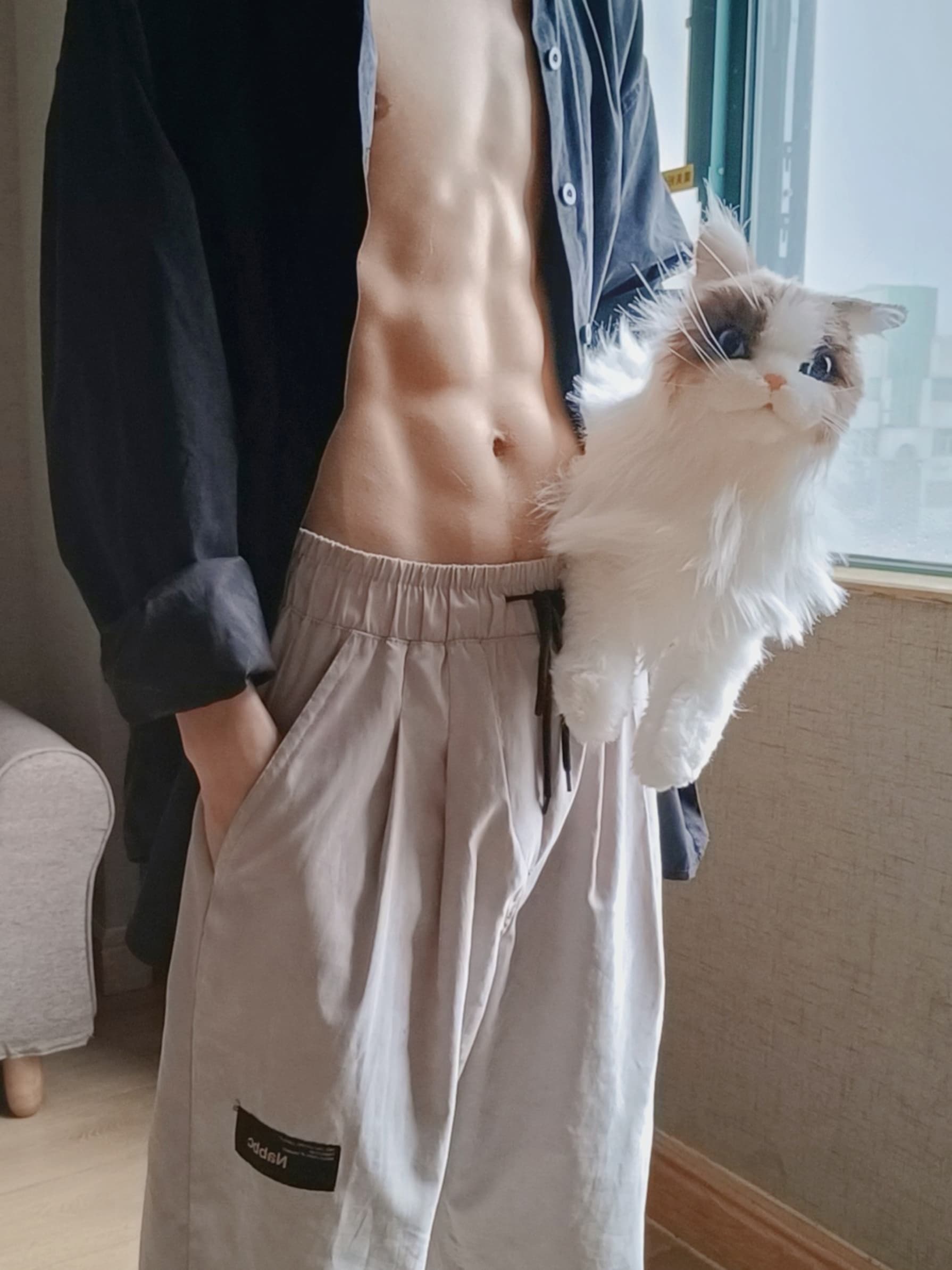 今天被猫抓了三下,但腹肌没被抓走 🐾封面图