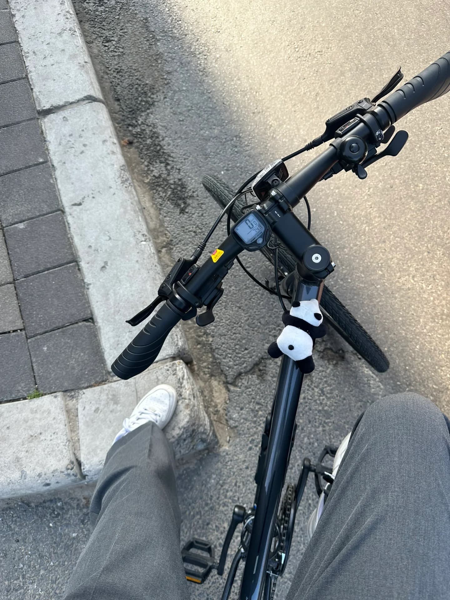 通勤暂停5分钟,车把上挂了只熊猫——今天在街角石阶边歇脚封面图
