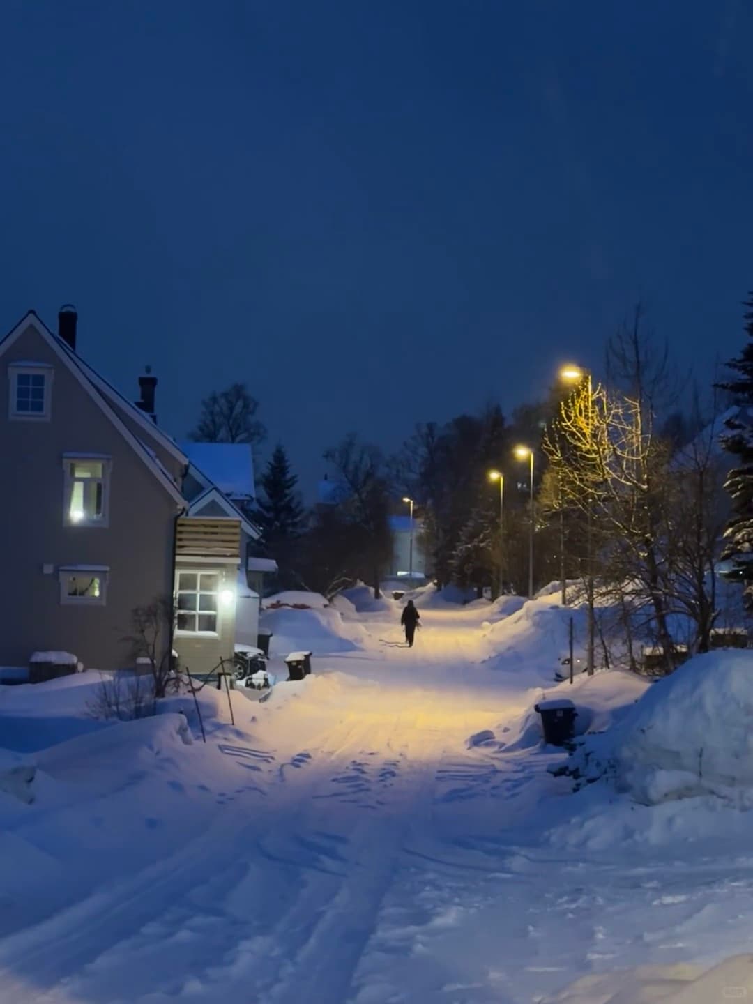 冬夜雪路,路灯下一个人的归家路 🌫️❄️封面图