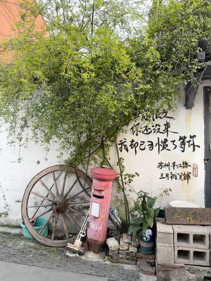 路过老墙边,被这句手写诗戳中了… 🌿封面图