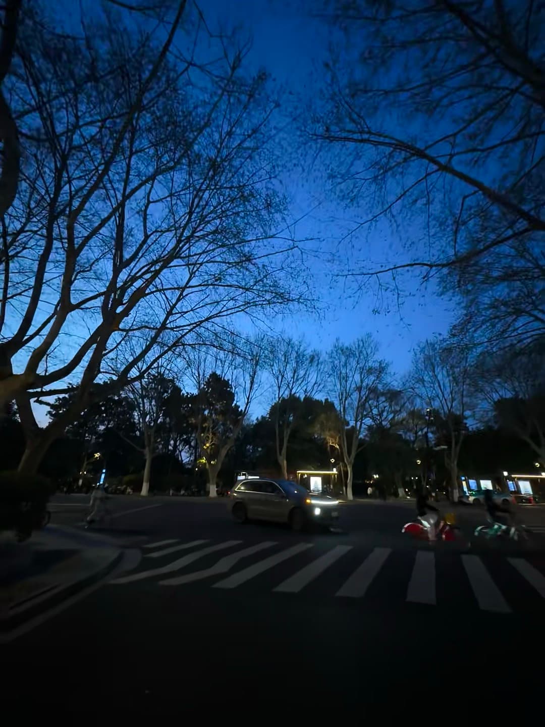 蓝调时刻的街角,车灯和树影在斑马线上打了个照面封面图