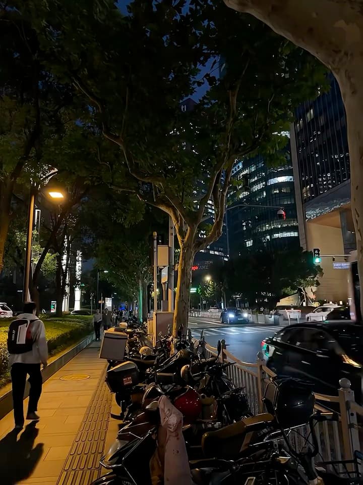 夜骑路过老梧桐,电驴们集体打盹中封面图