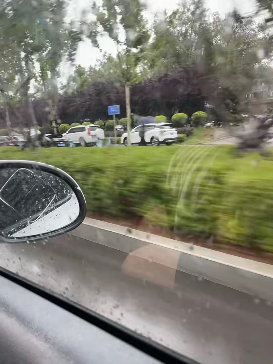 雨天通勤路,车窗一抖就撞上绿意封面图