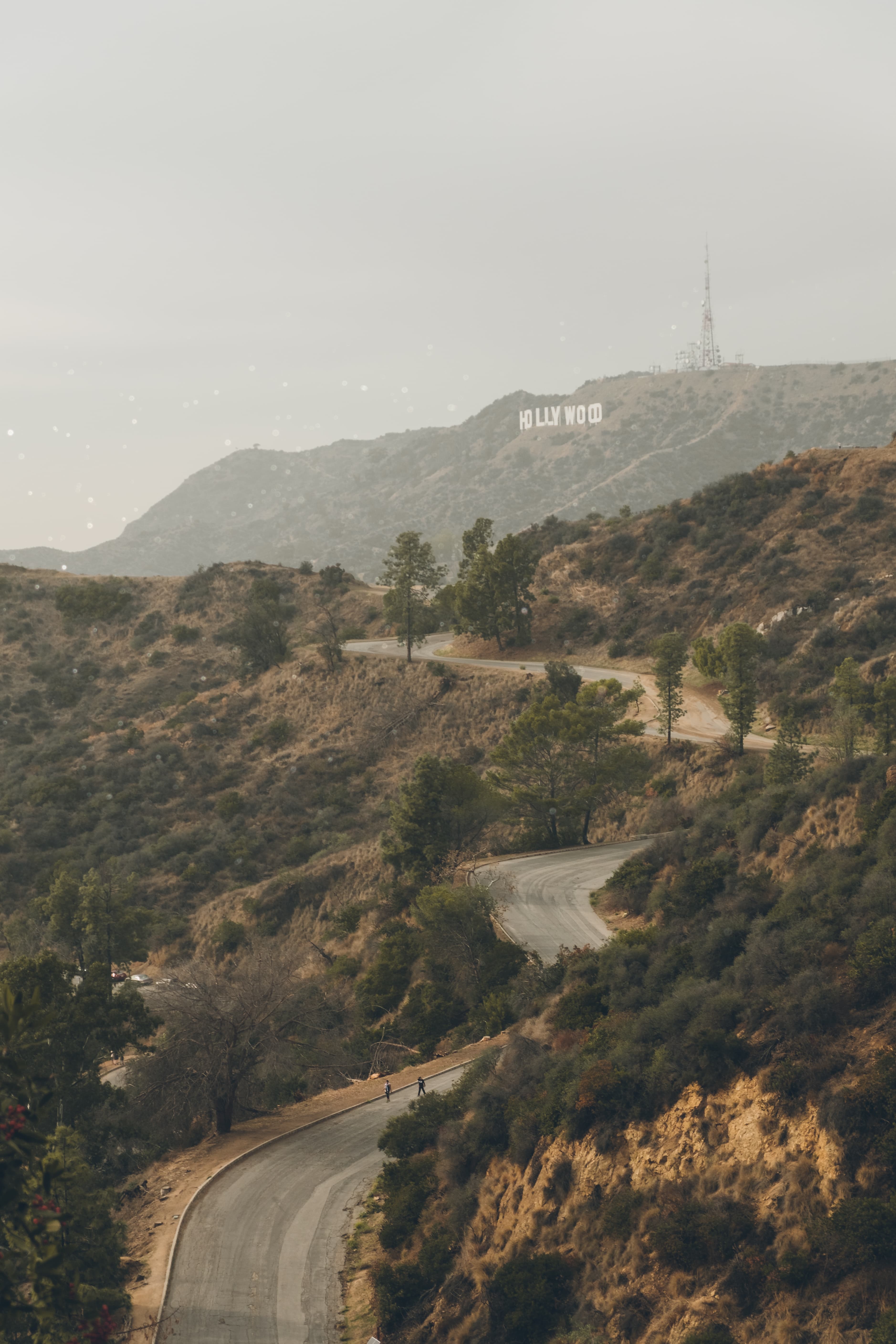 今天在Hollywood山脚绕了三圈,风大得想把人吹进柏油路里封面图