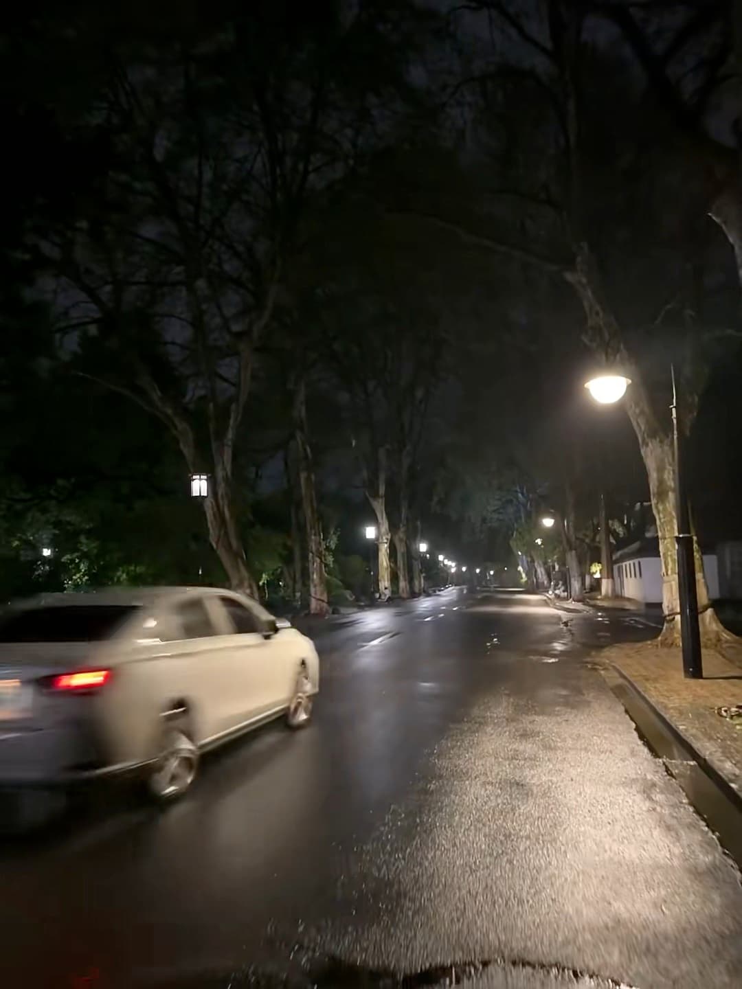 雨后深夜街灯下,白车一闪而过 🚗✨封面图