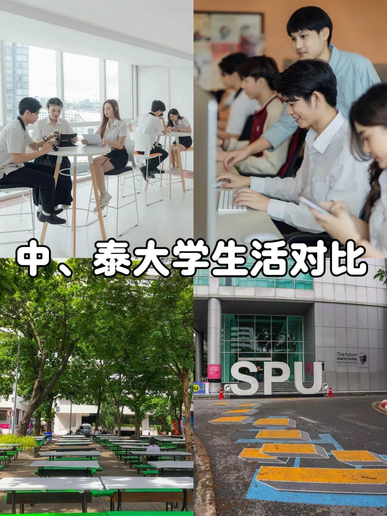 中泰大学生活对比,各有各的香封面图