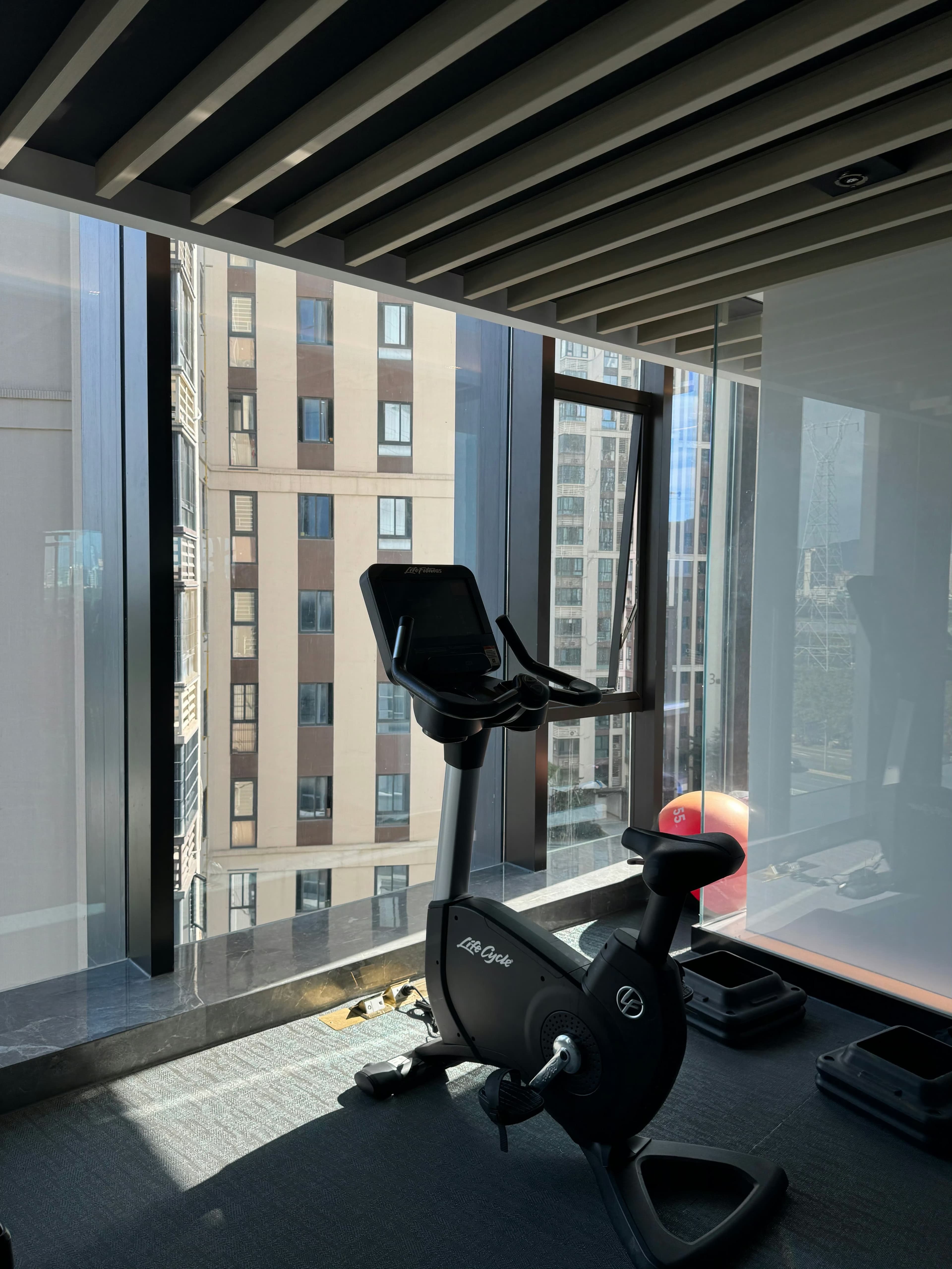 搬来后楼下gym的单车,对着窗外蹬了两圈封面图